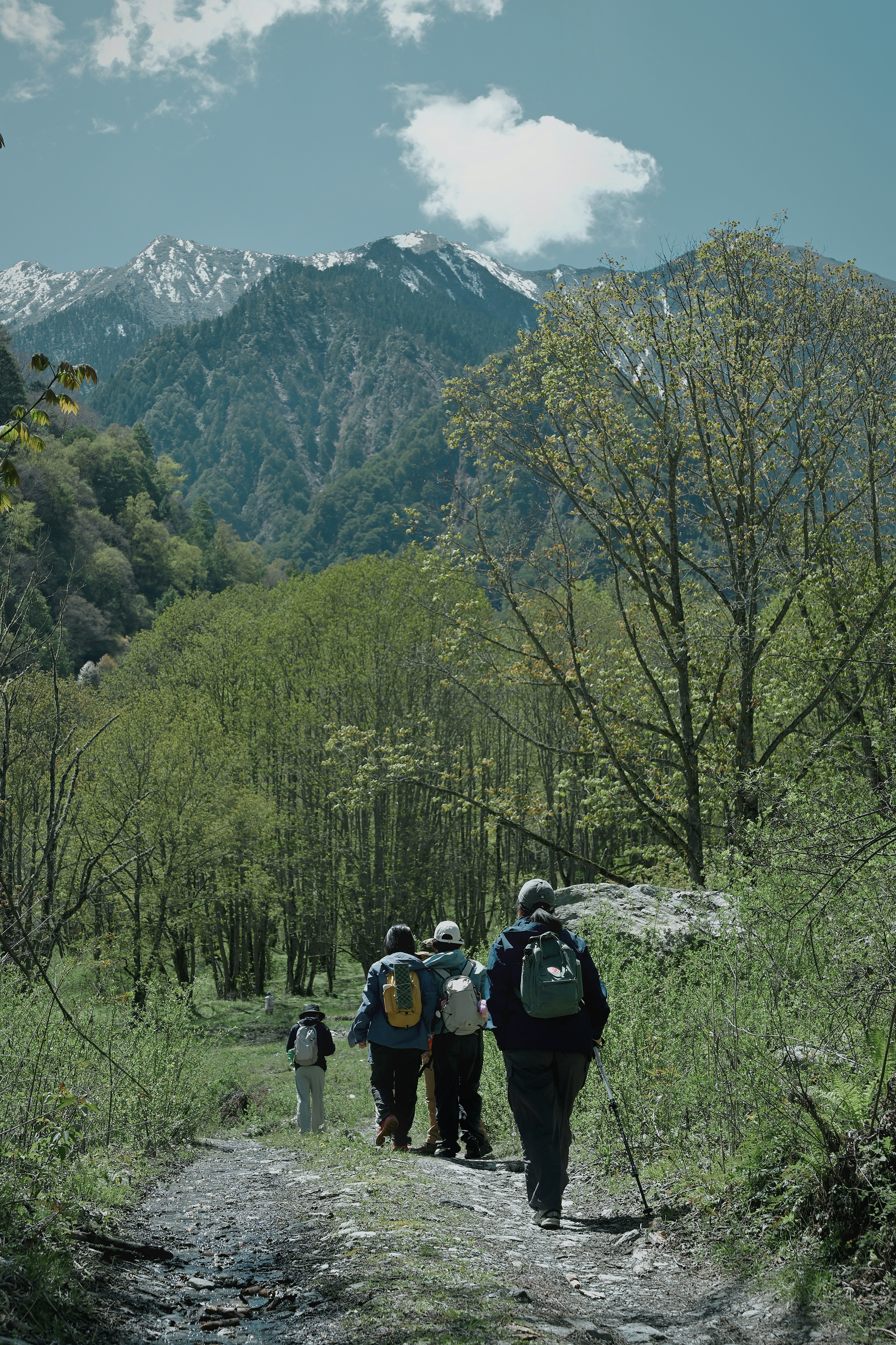 Hikers walk on a trail towards snowy mountains