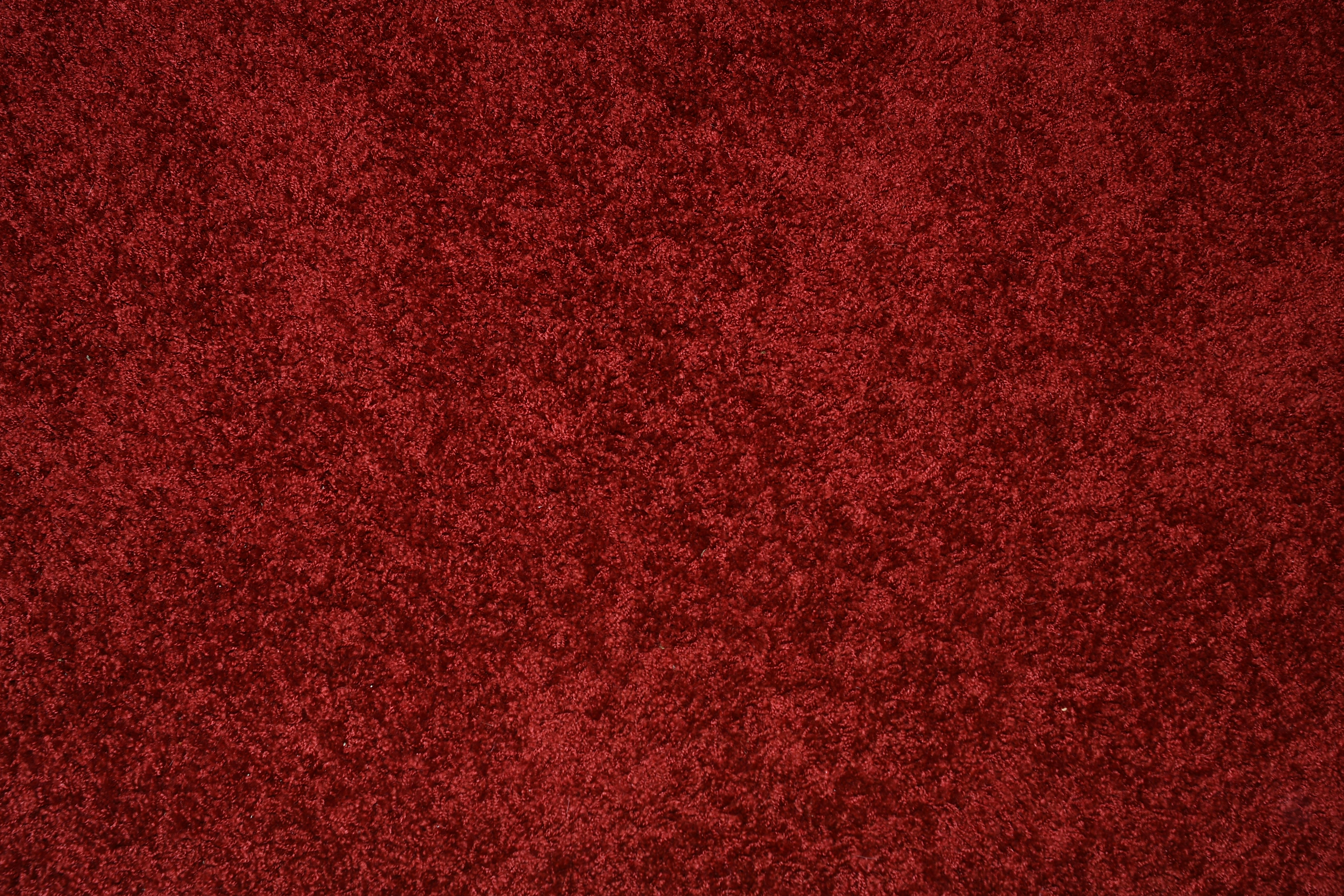 luxury red carpet