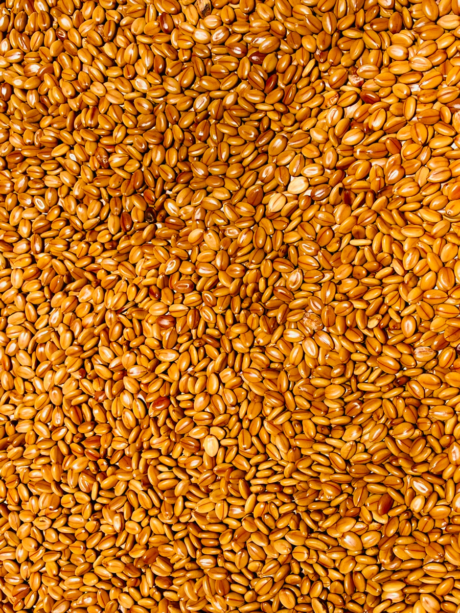 Ethiopian sesame seeds