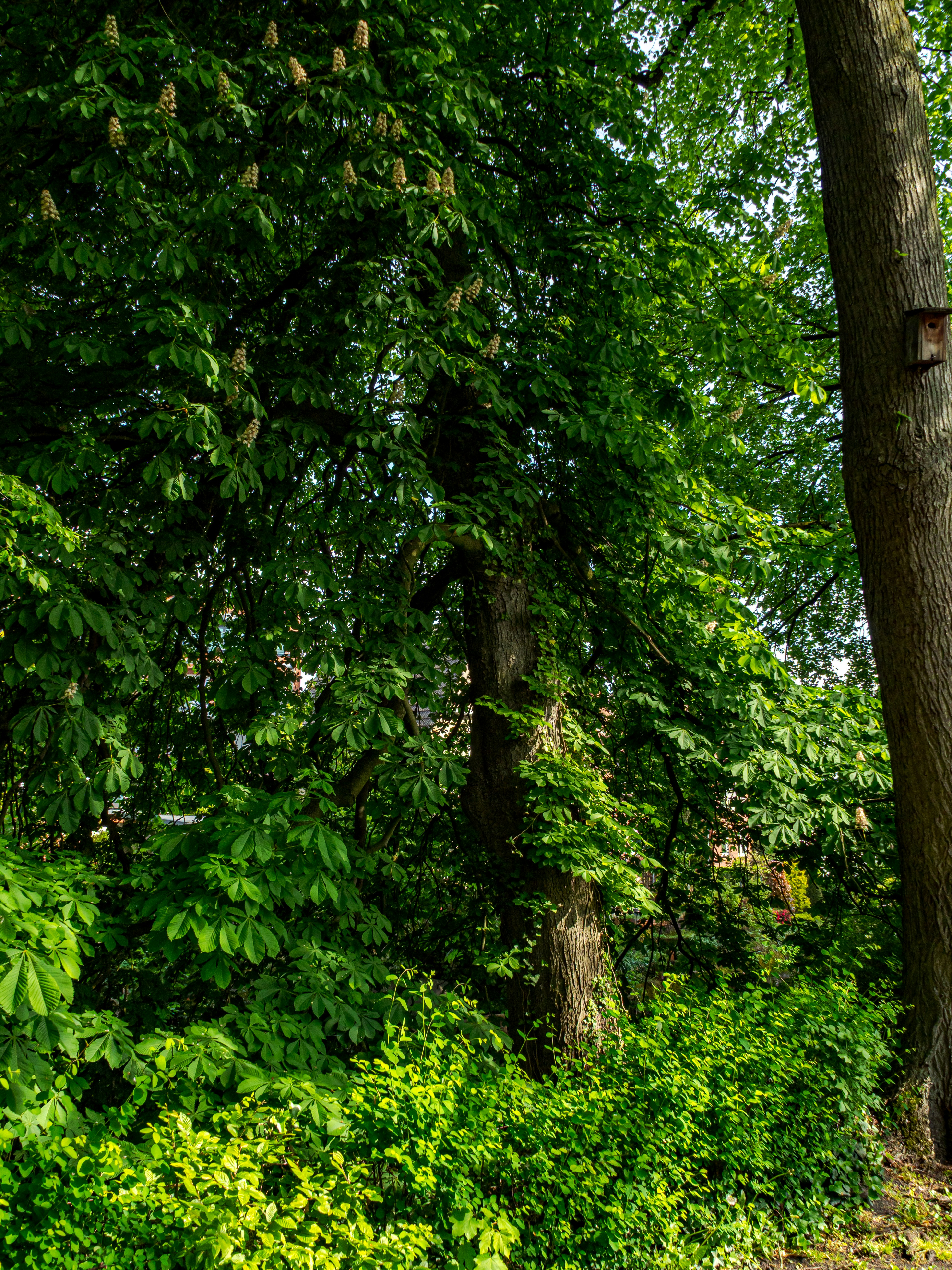 Photo by skstrannik