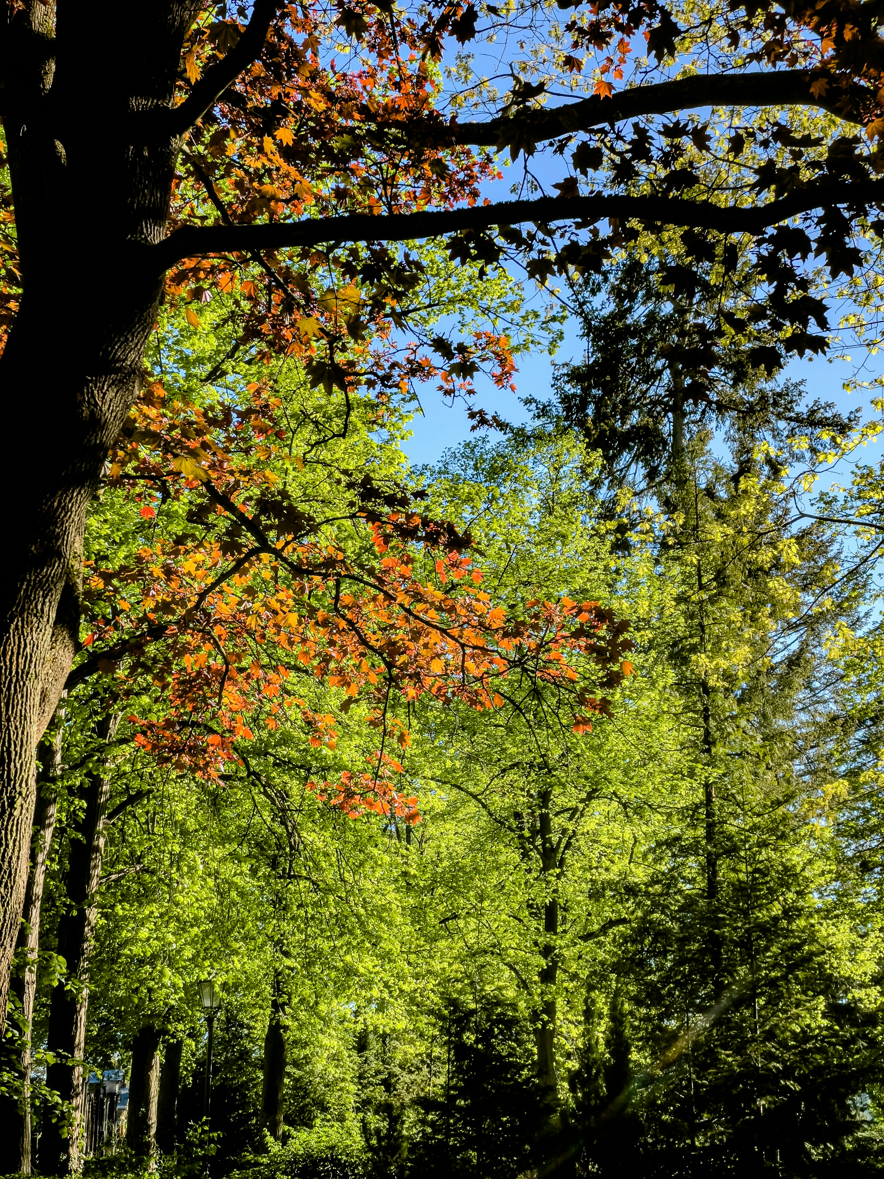 Photo by hdbernd