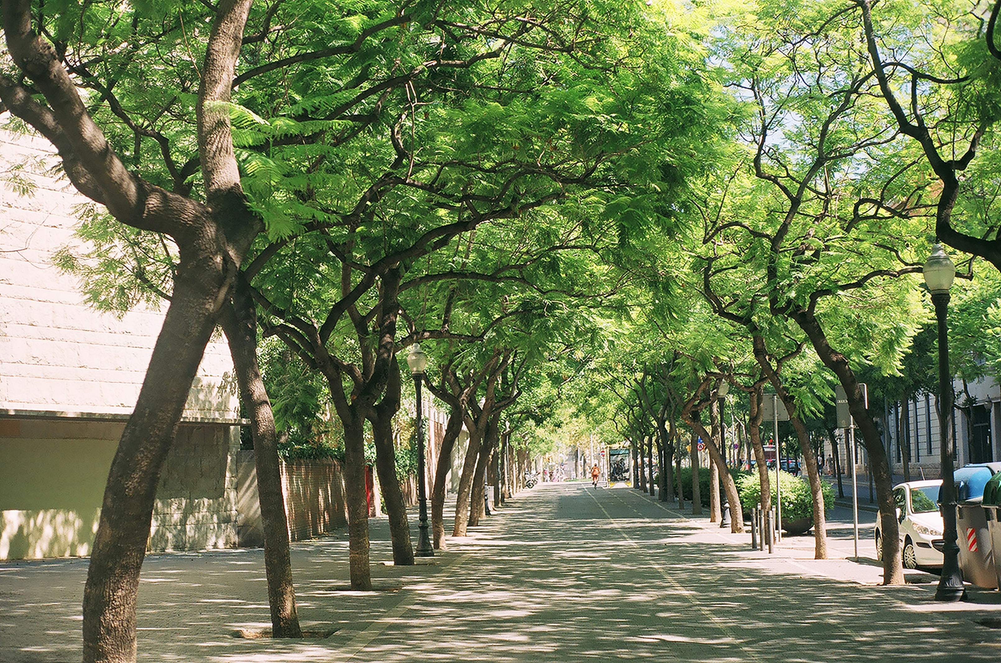 Photo by alyonachip