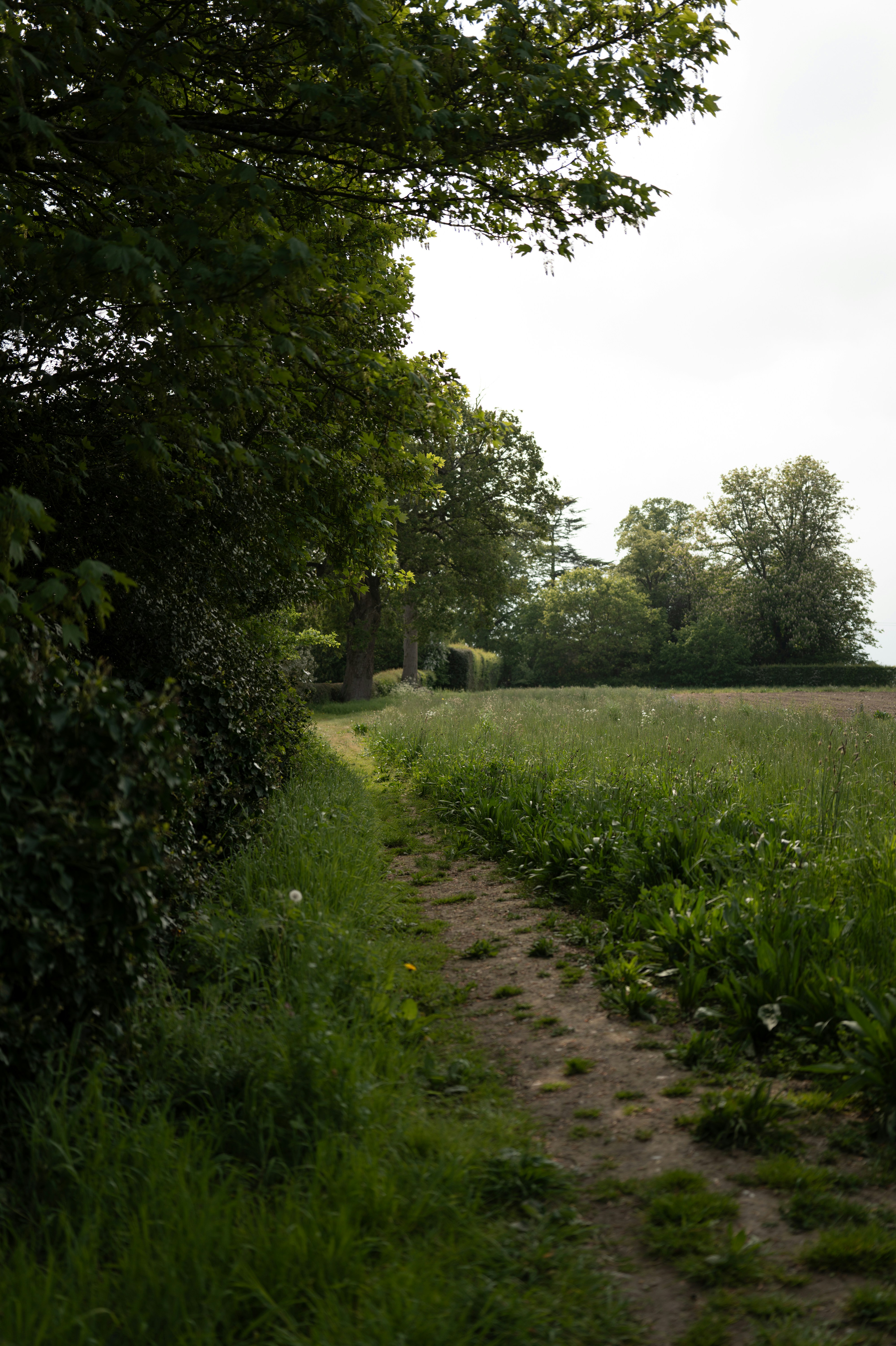 Photo by bruceb_uk