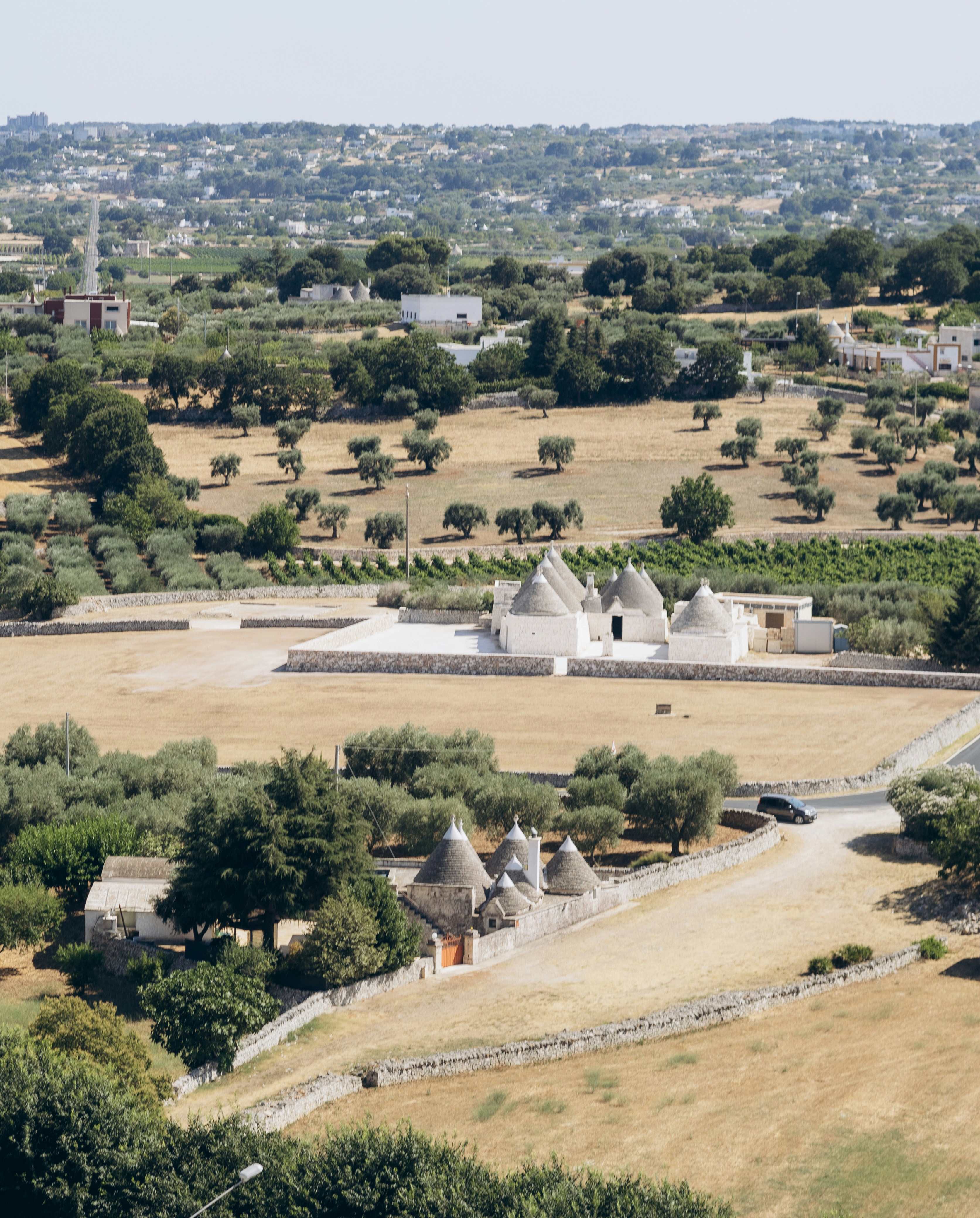 Le radici in Puglia