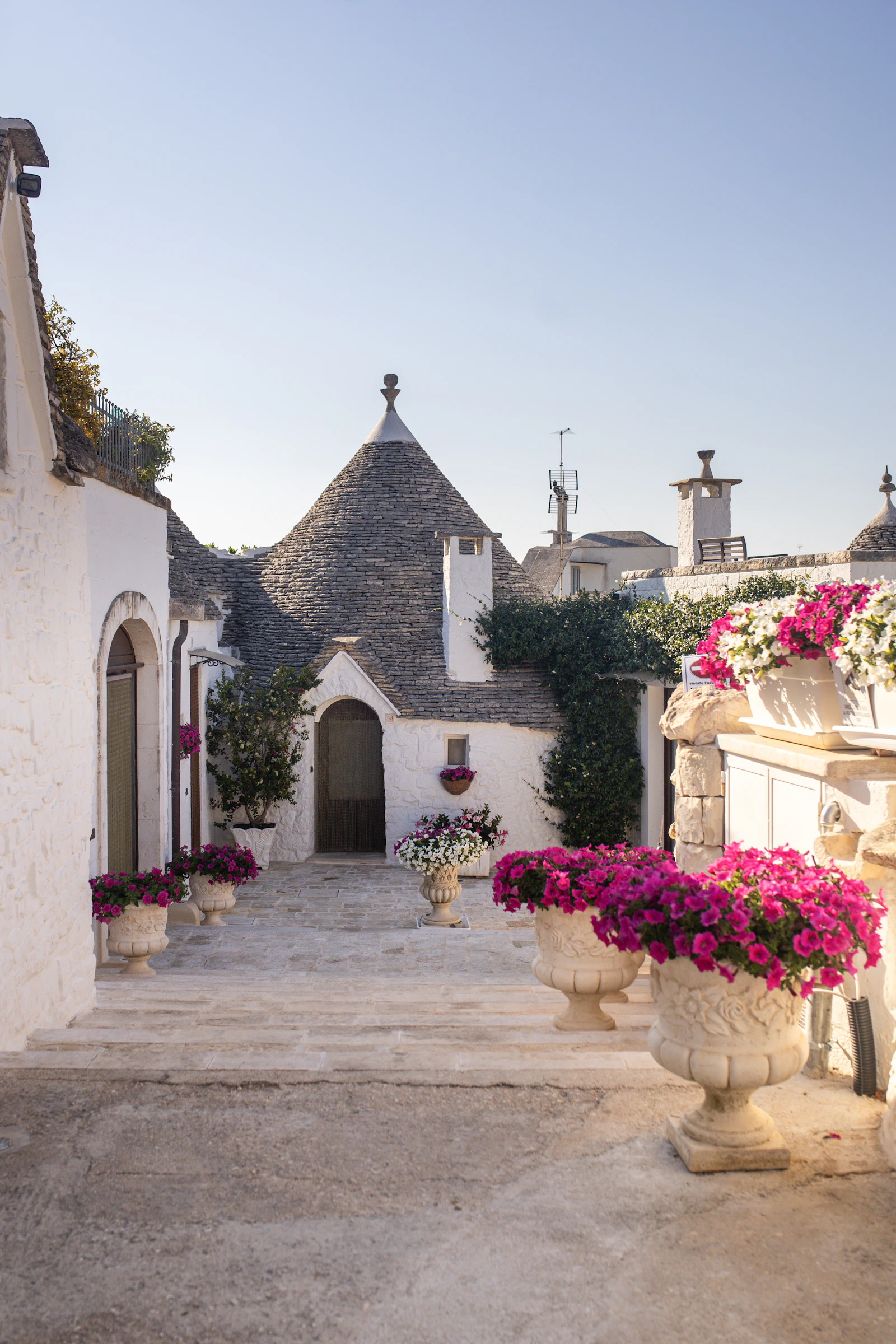 White trulli houses and flowers in Alberobello, Puglia