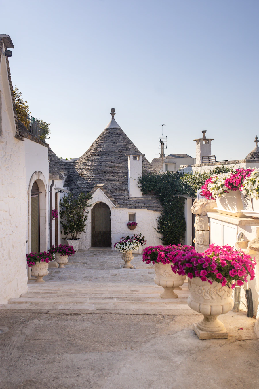 White homes and flowers in Puglia
