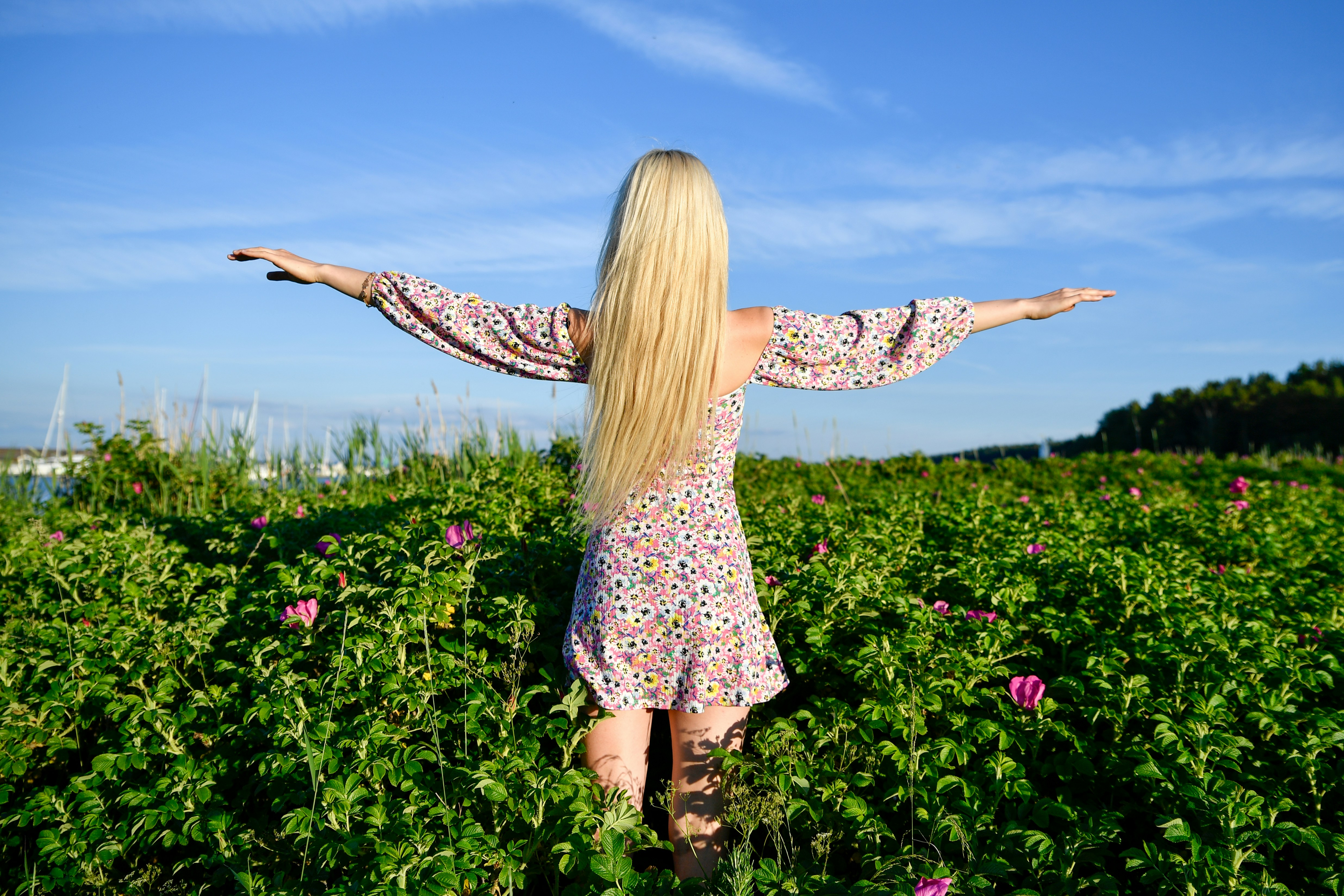 Woman with arms outstretched among wild roses in nature