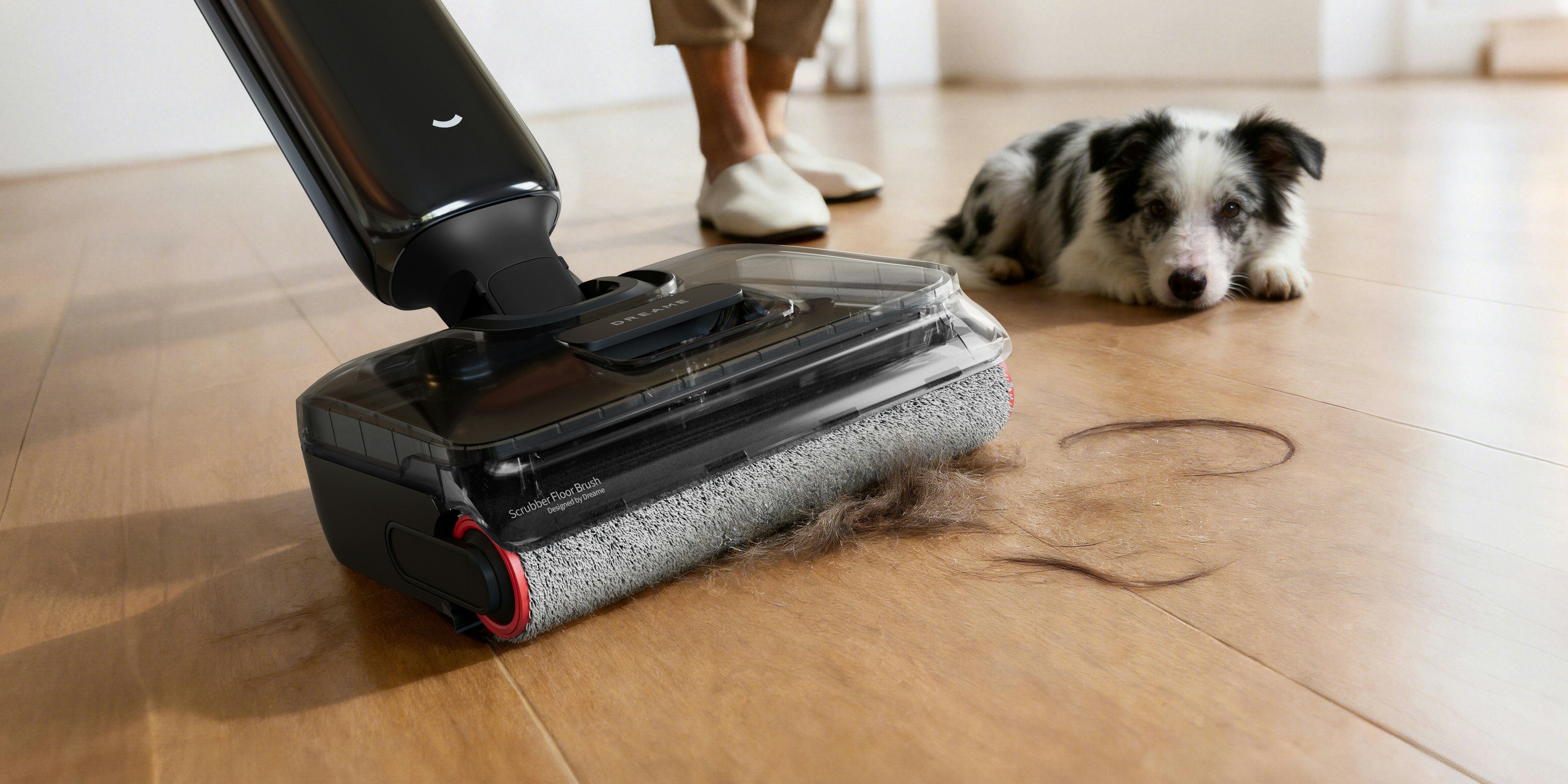 Dog watches vacuum cleaner on wooden floor