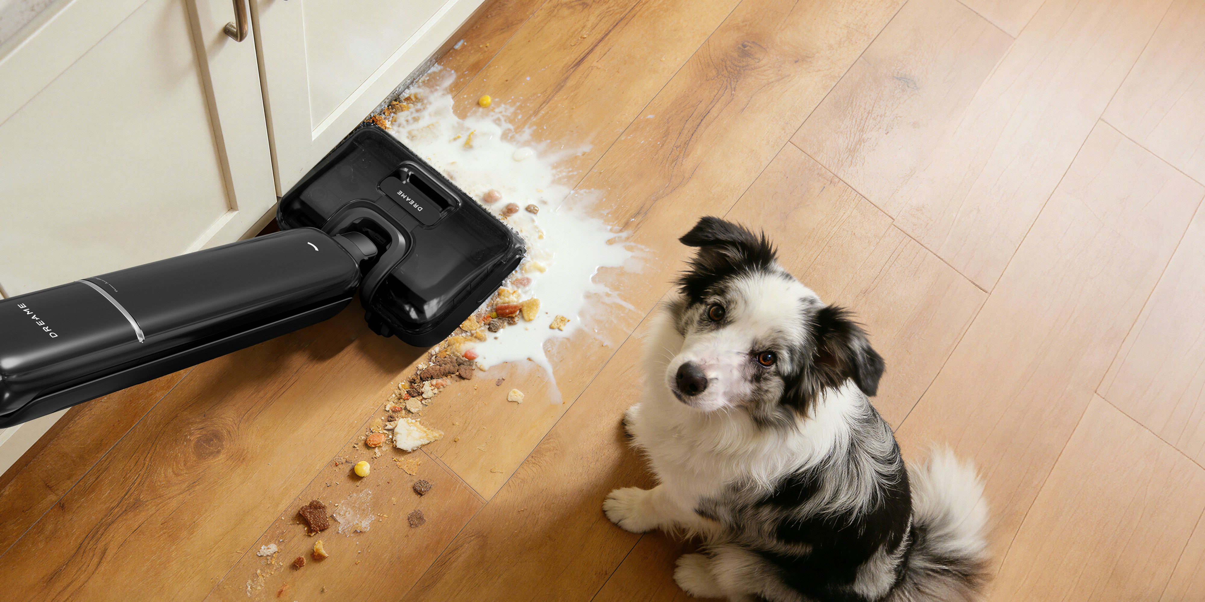 A dog watches a vacuum cleaner clean up a spill.