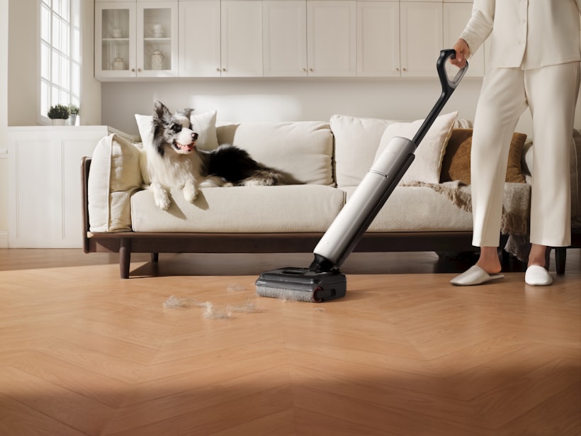 Owner caring for senior dog at home with comfortable bedding and management tools for dog incontinence