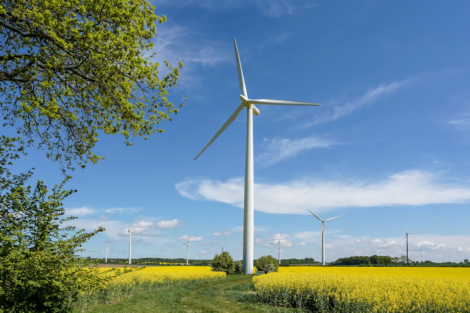 Serene rural landscape features large white wind turbine surrounded by lush green trees and fields