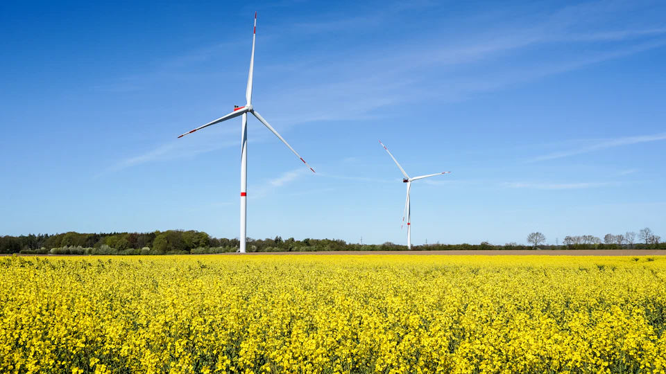 Two white wind turbines stand tall amidst a field of yellow flowers and green trees