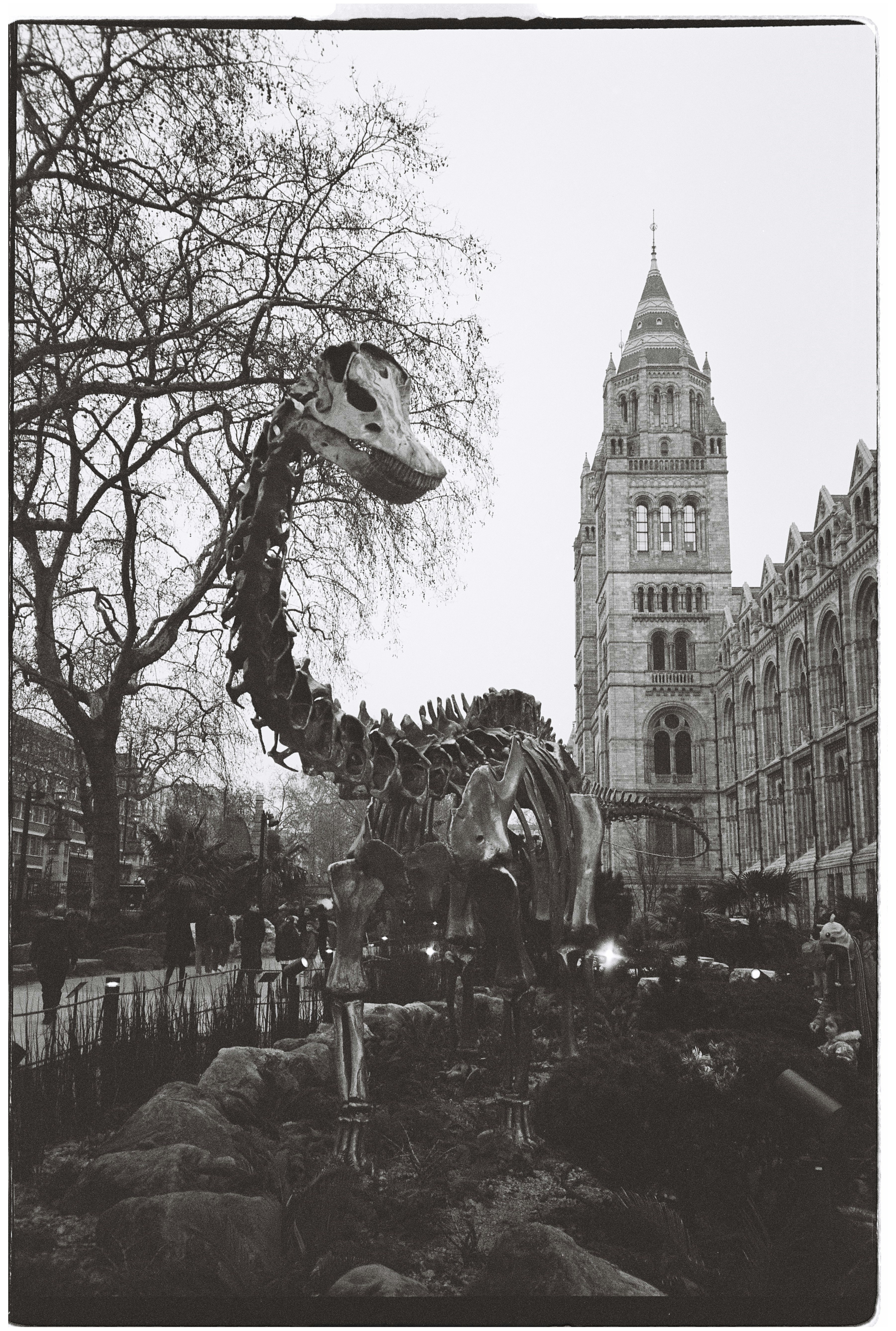 Dinosaur skeleton outside a grand stone building