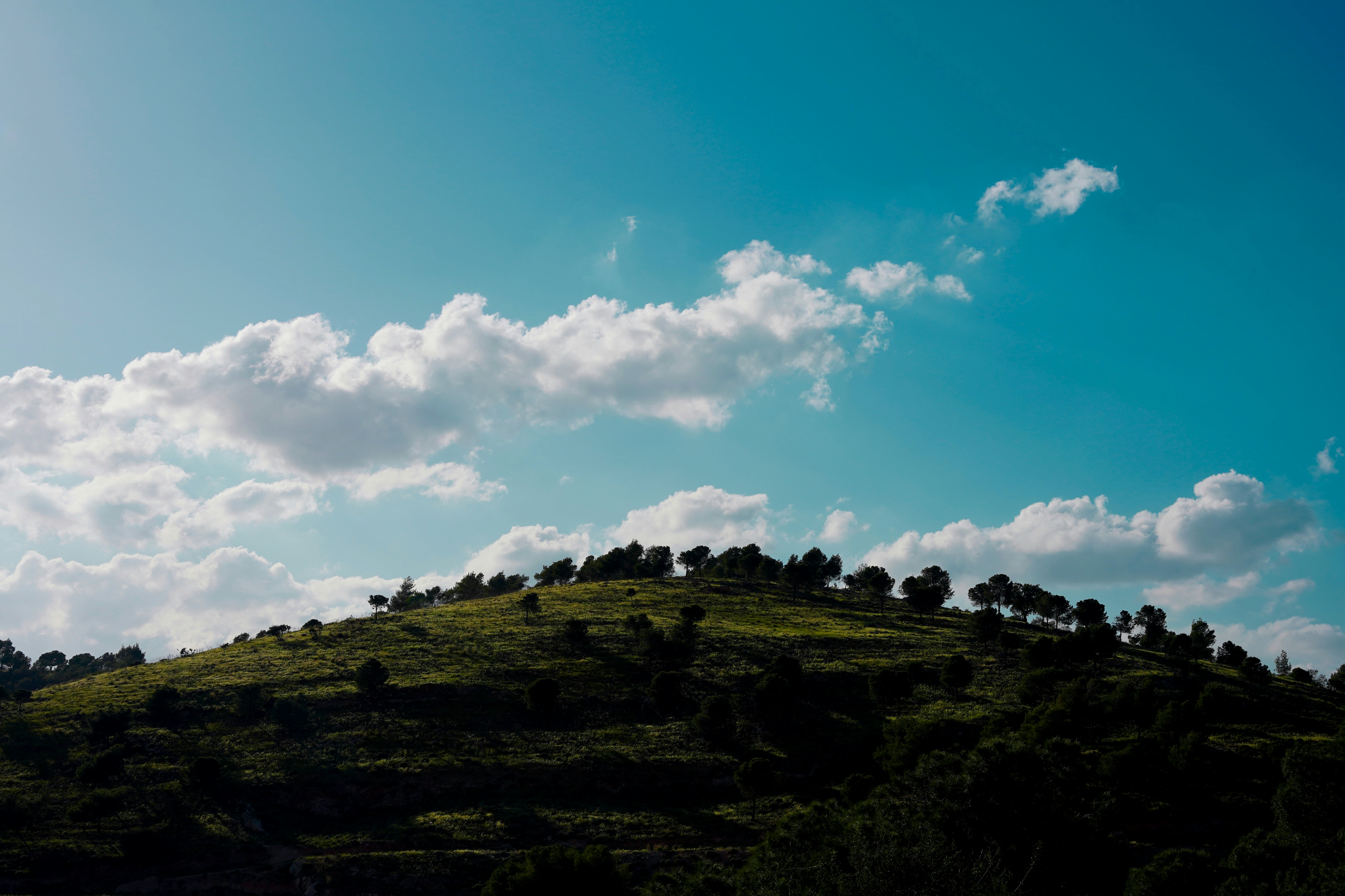 Photo by hisham_zayadneh
