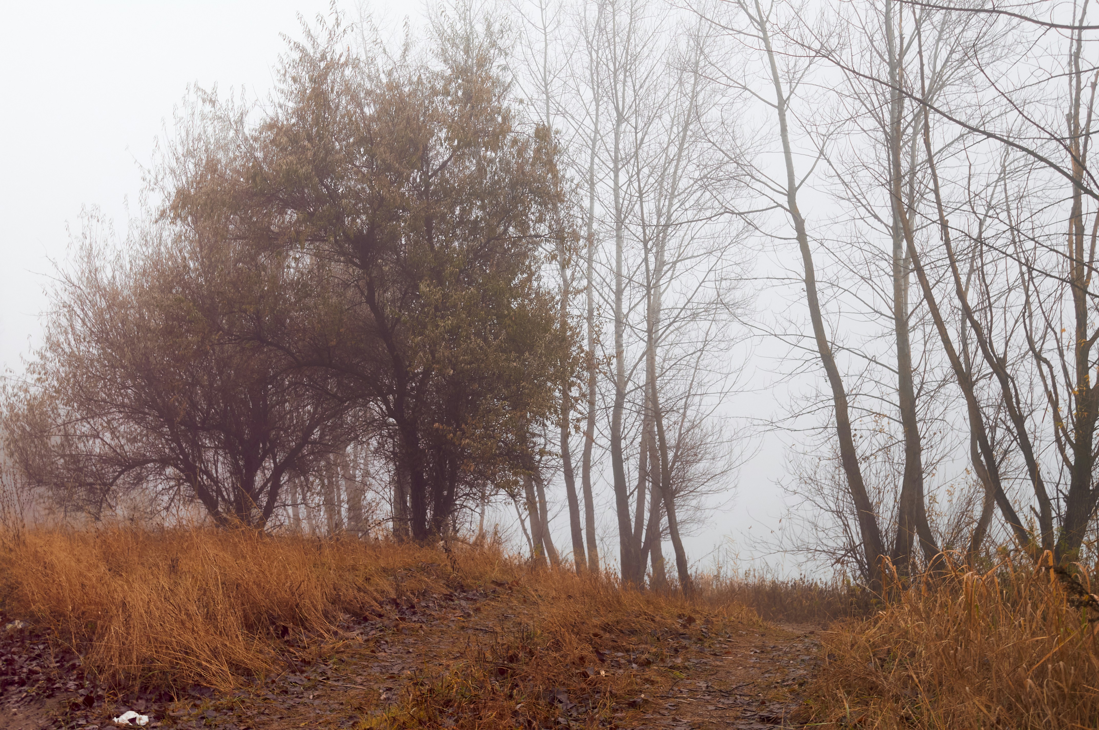 Photo by akessler63