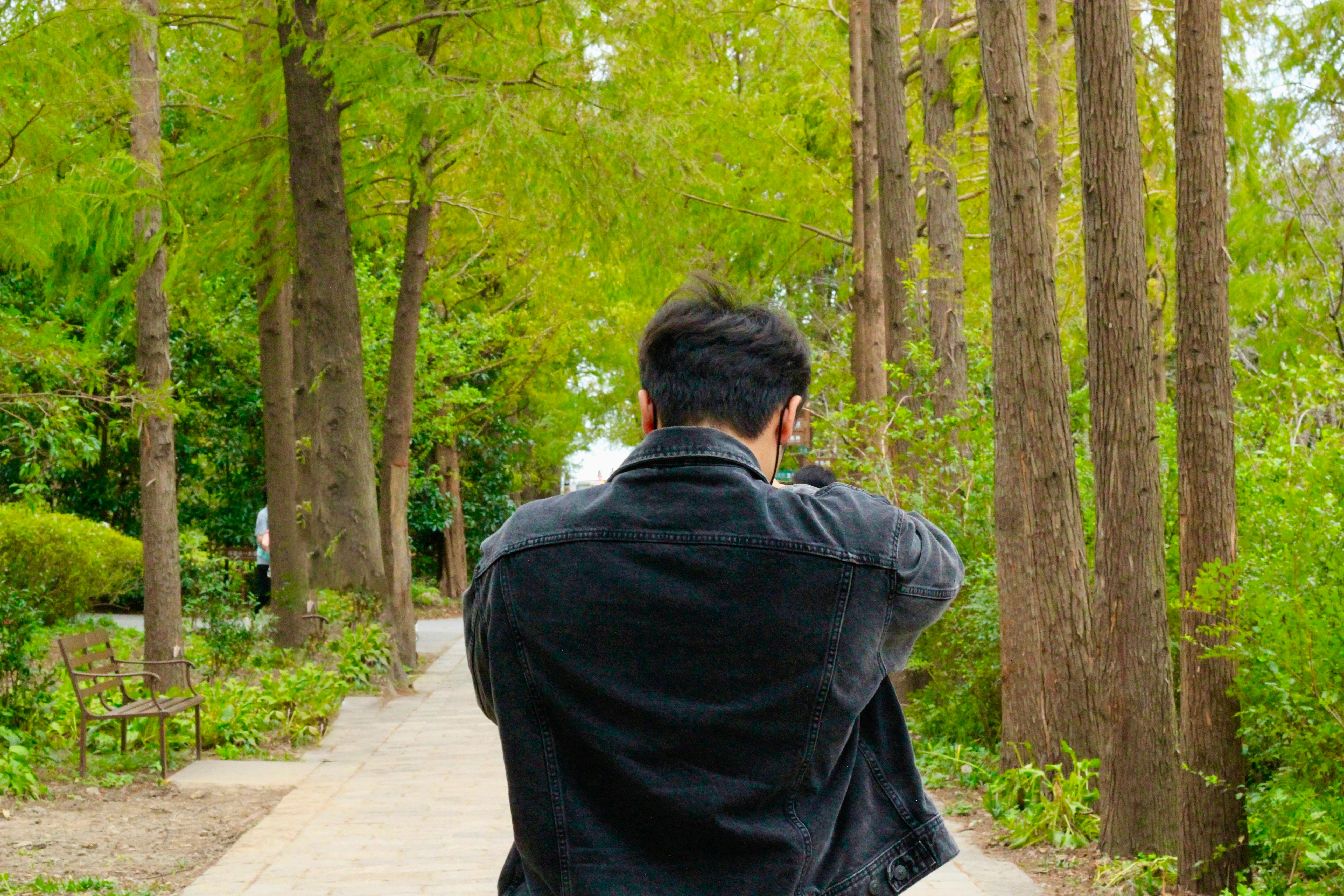 Hombre caminando por un sendero en un bosque
