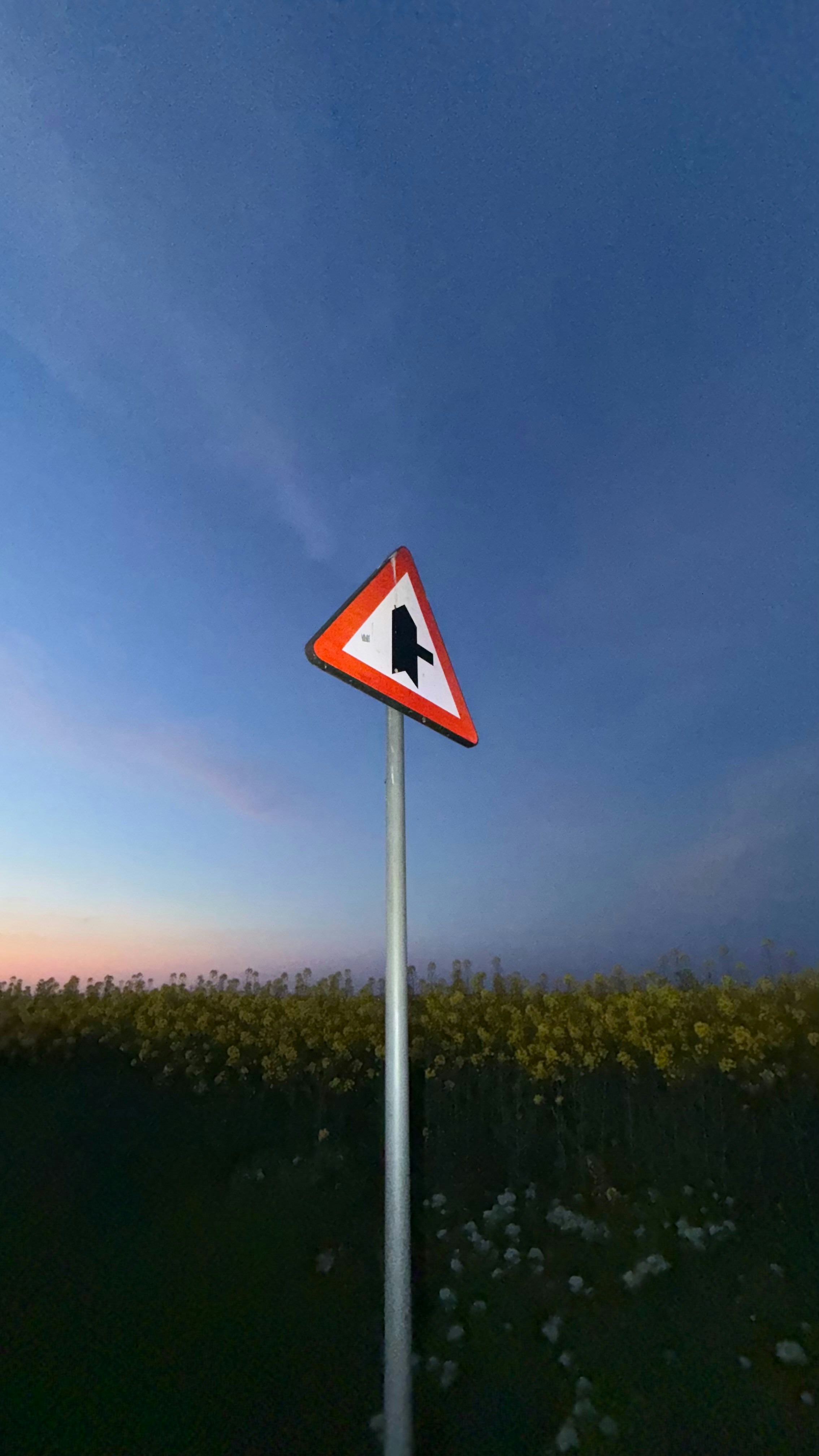 Cartello stradale con corsie che si condividono contro il cielo al crepuscolo