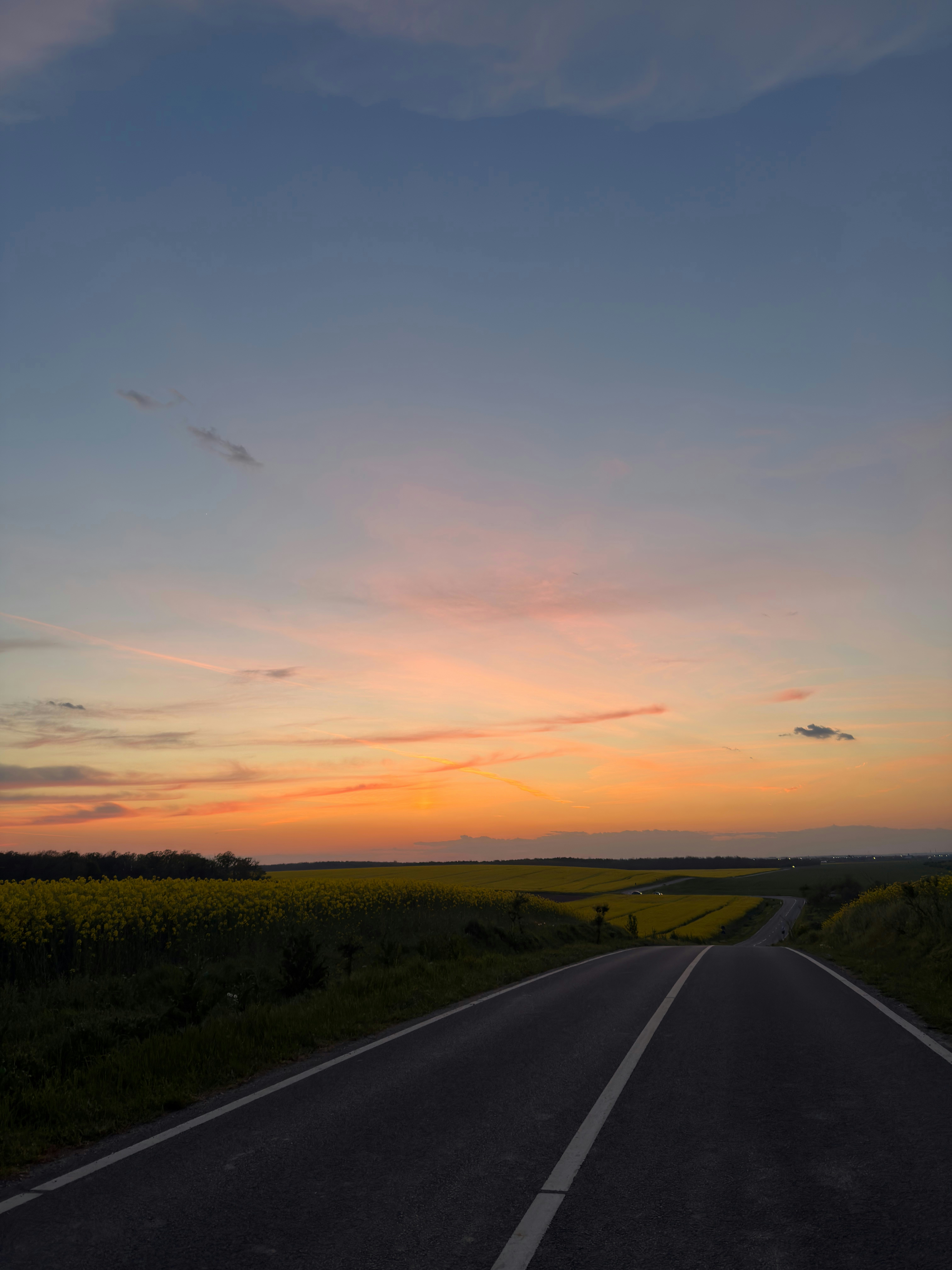 Strada vuota attraverso campi al tramonto