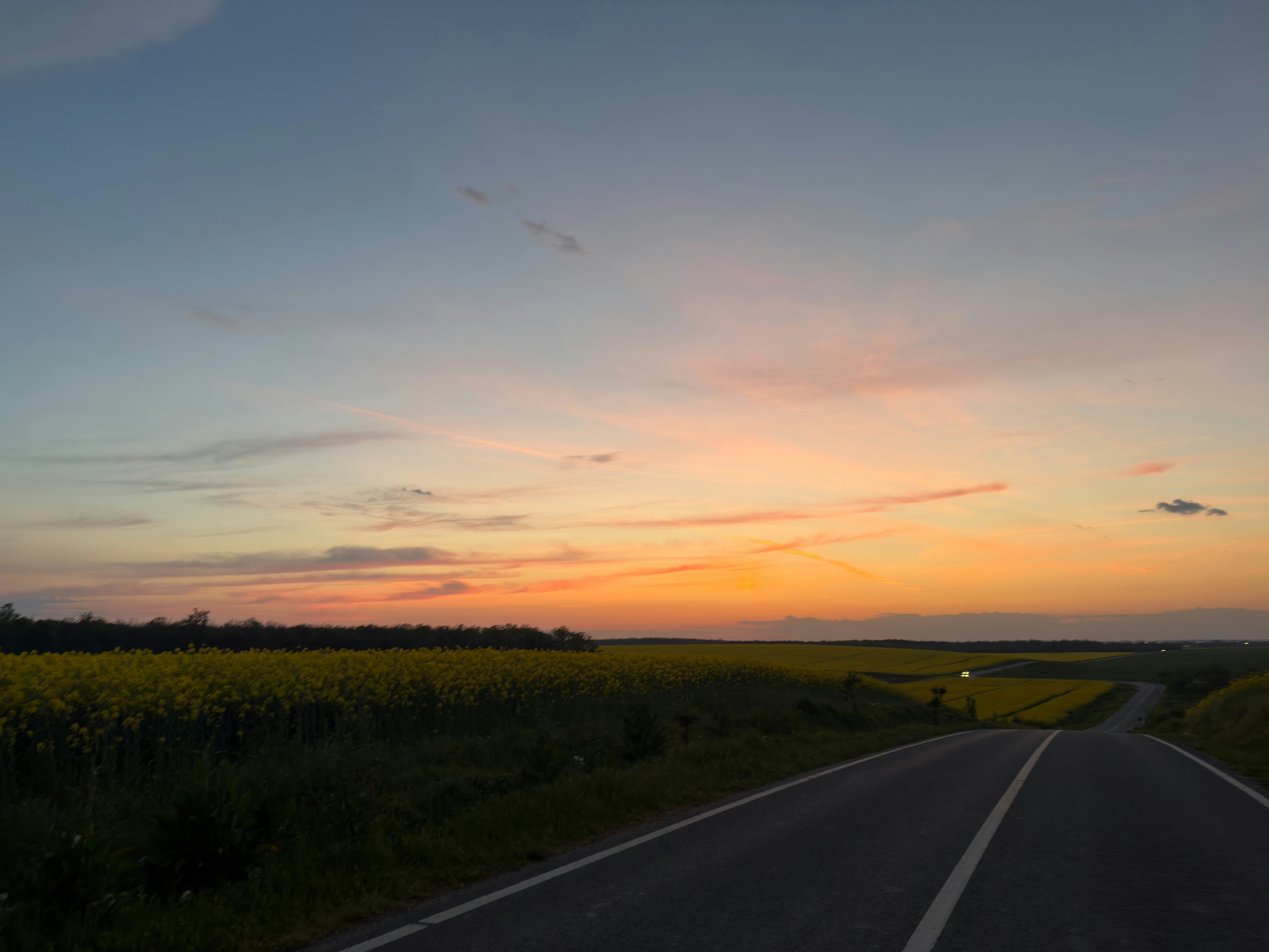 Strada attraverso un campo giallo al tramonto