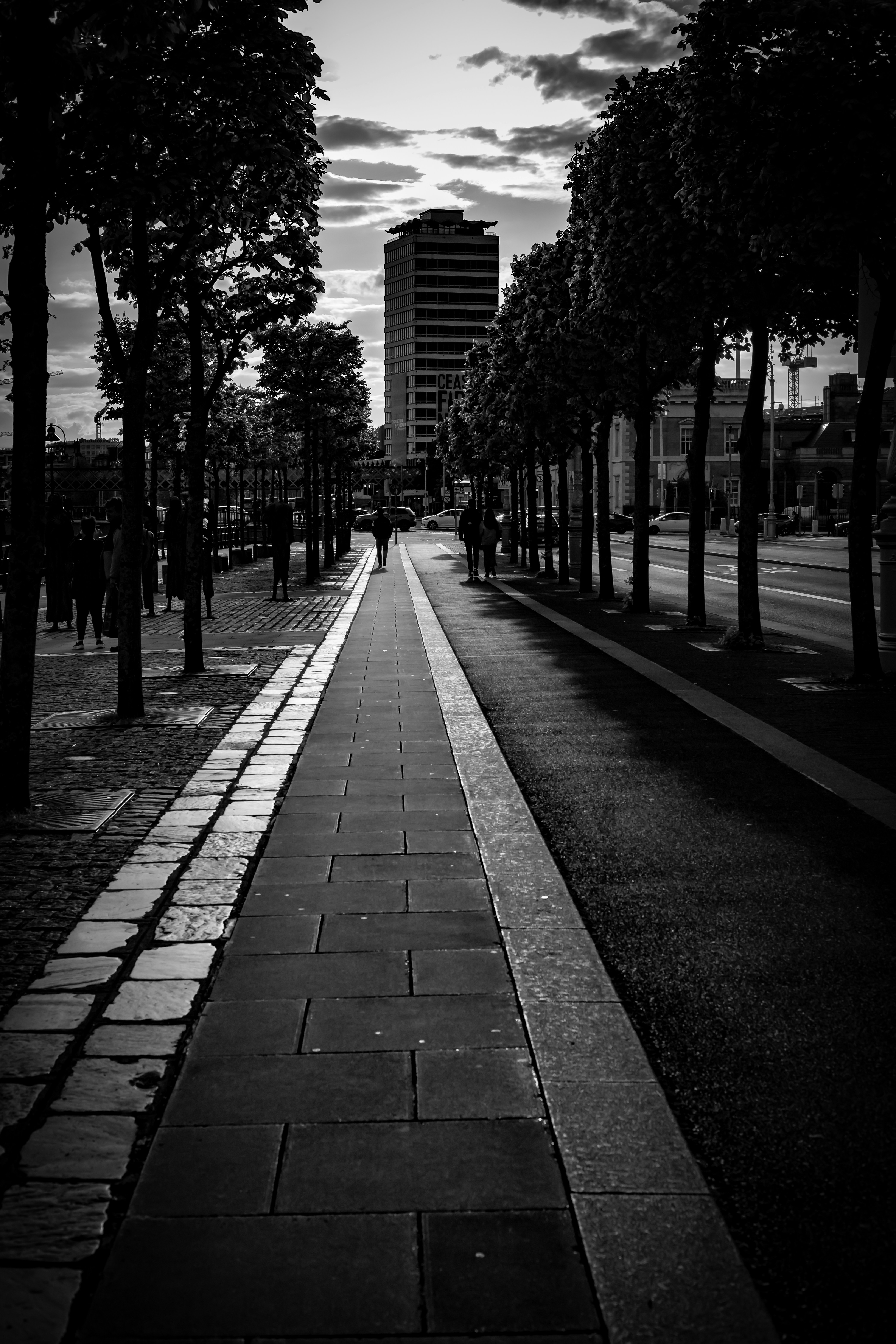 Una figura solitaria camina por una acera arbolada de la ciudad.