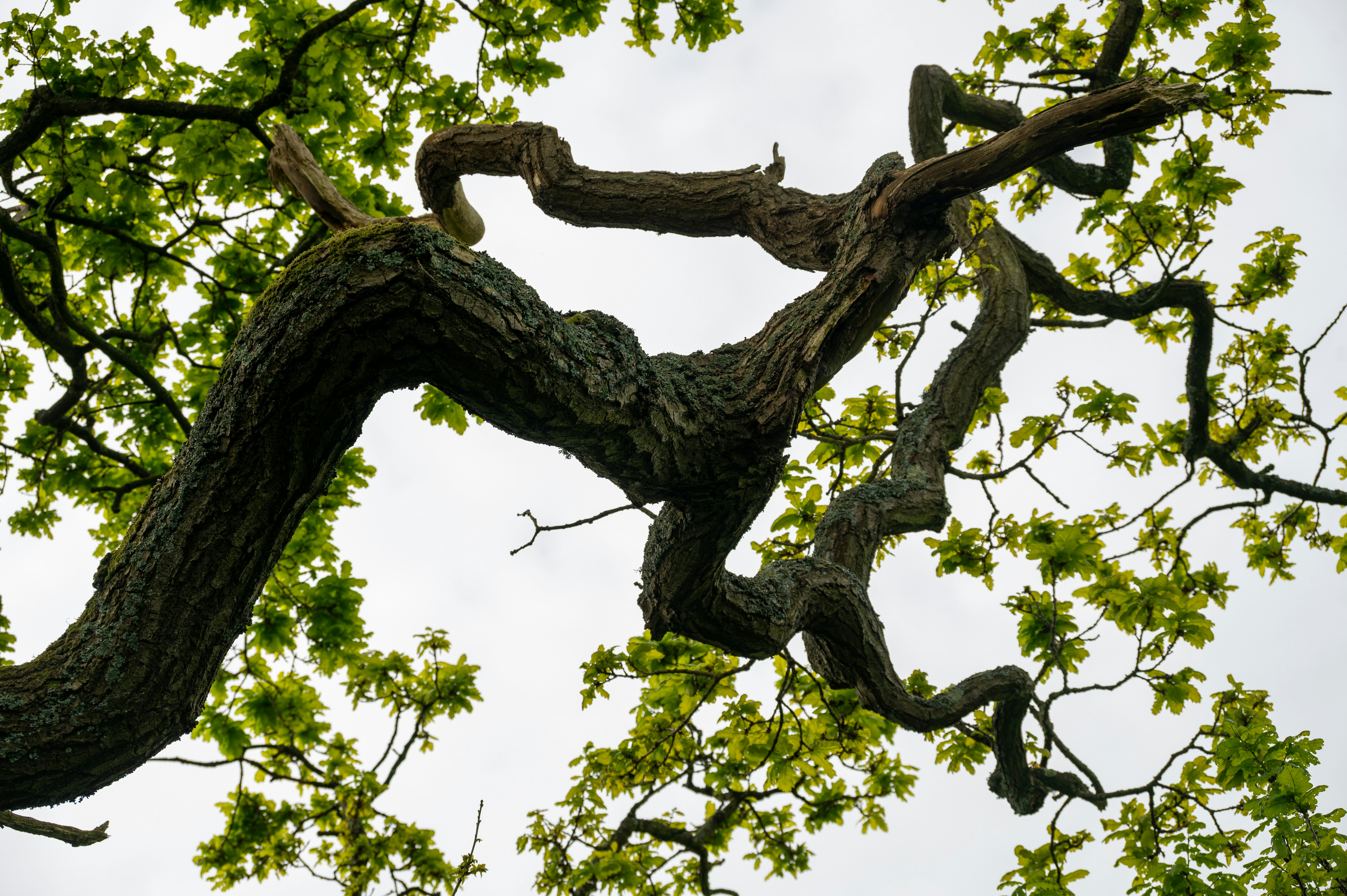 Photo by himattbaker