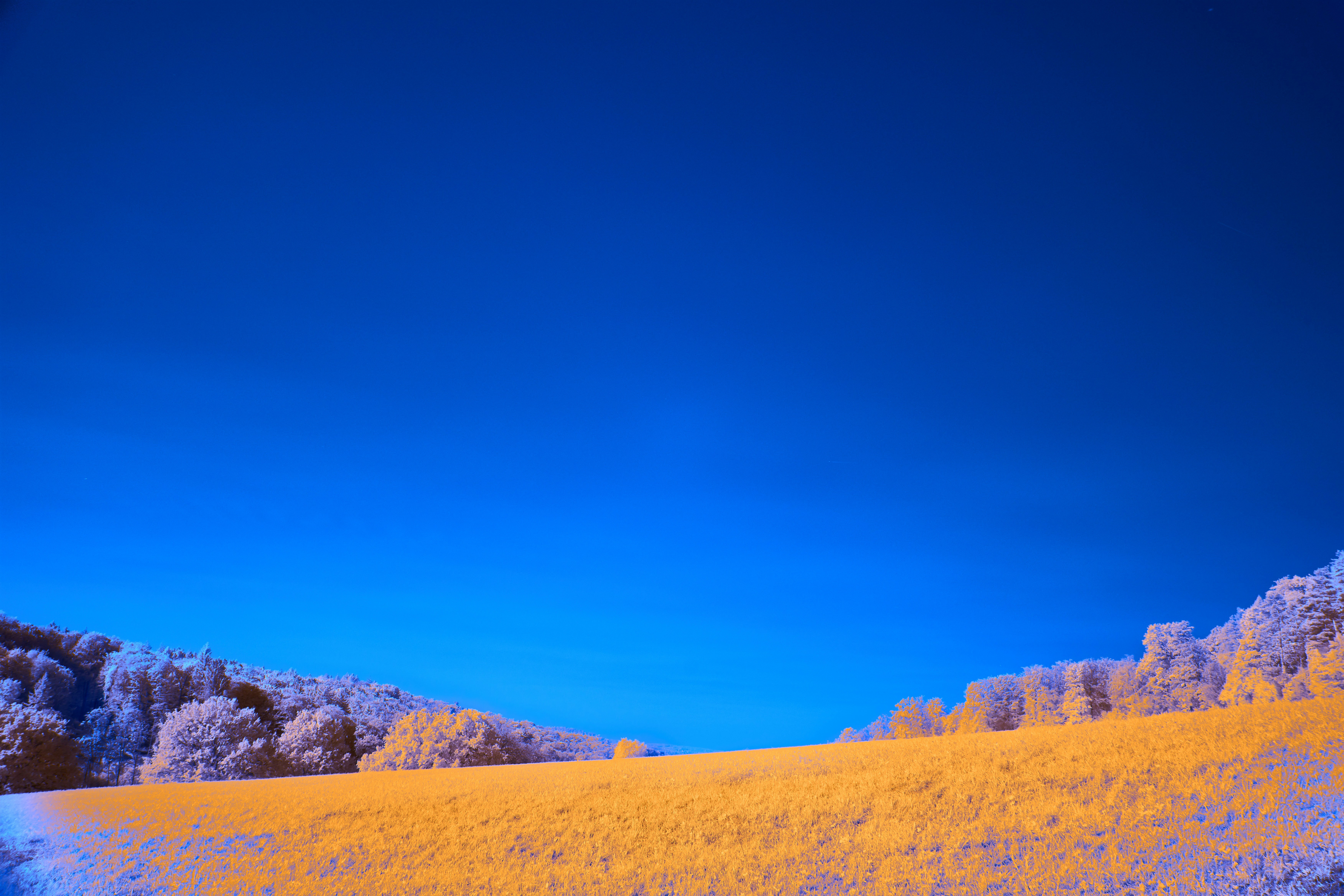 Photo by wolfgang_hasselmann