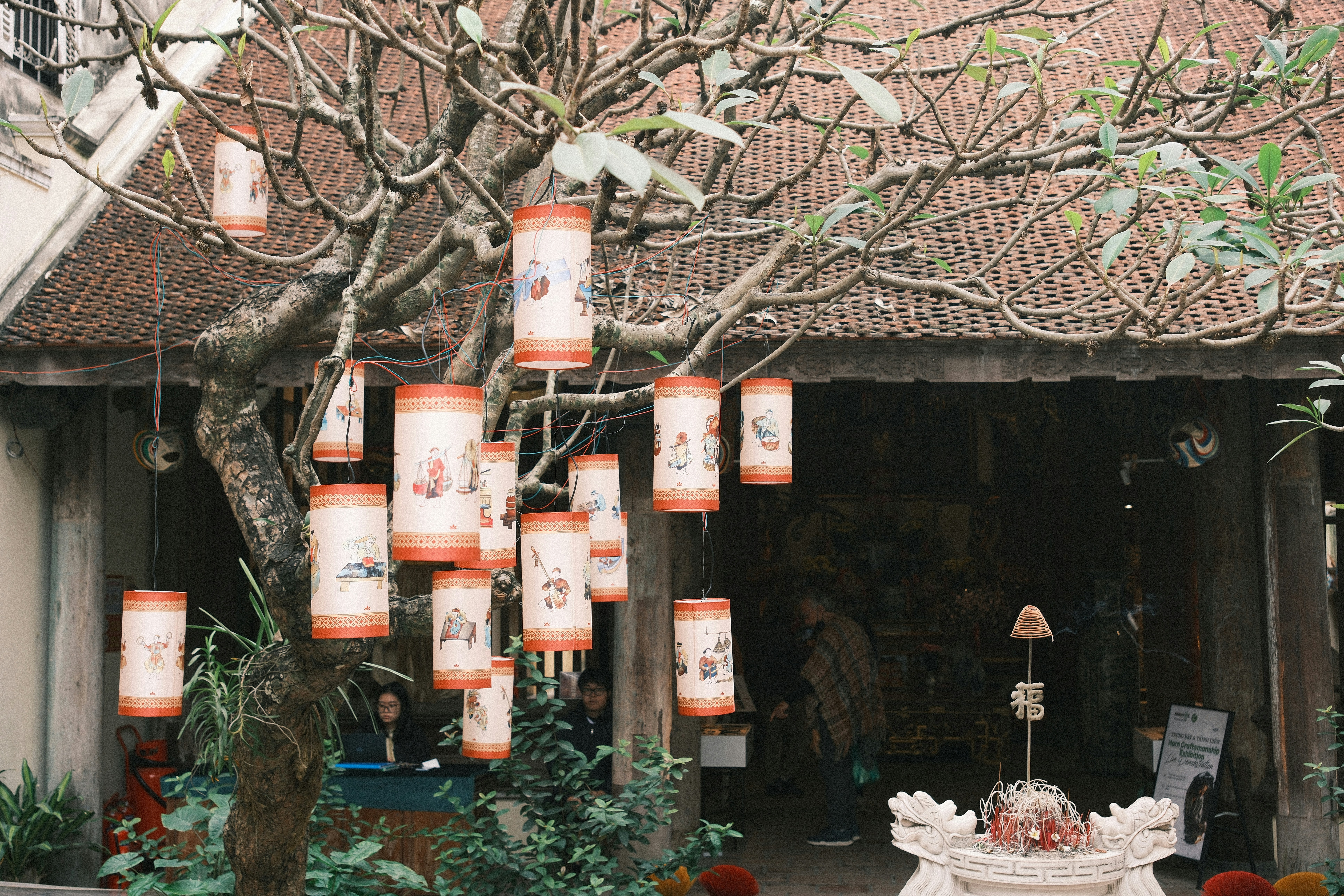Lanterns hanging from a tree in front of a building