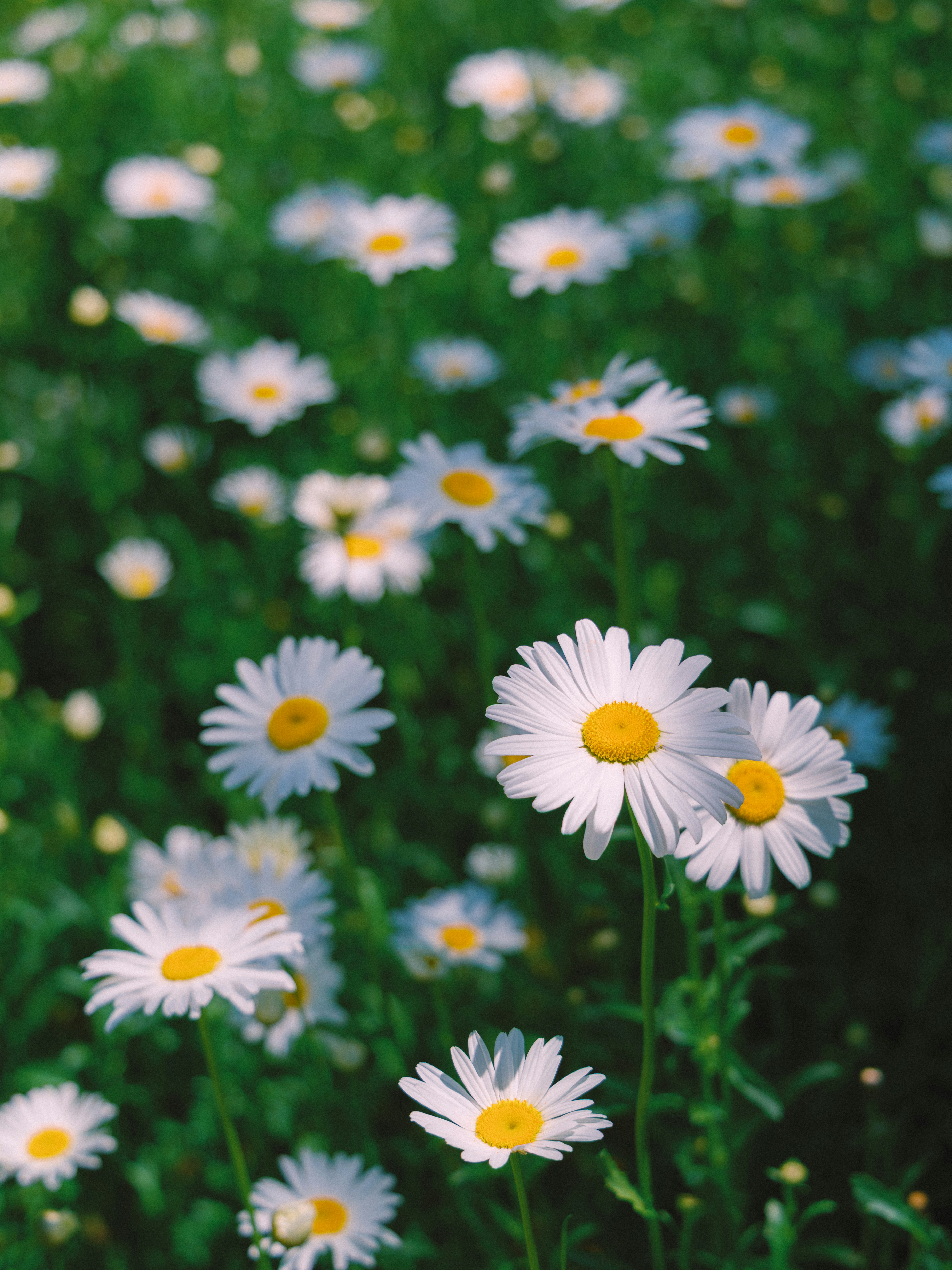 Photo by parkseongjin