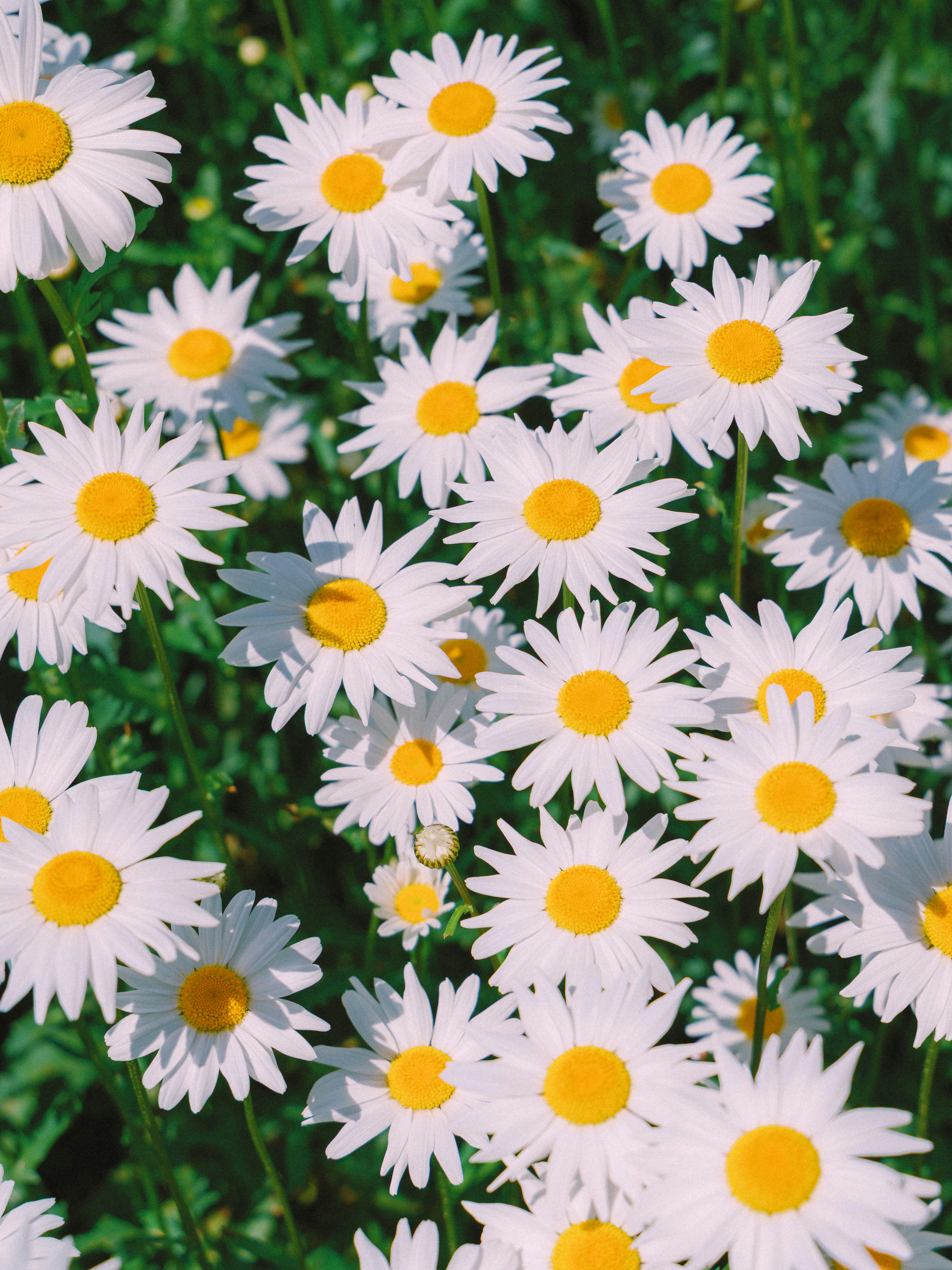 Photo by parkseongjin
