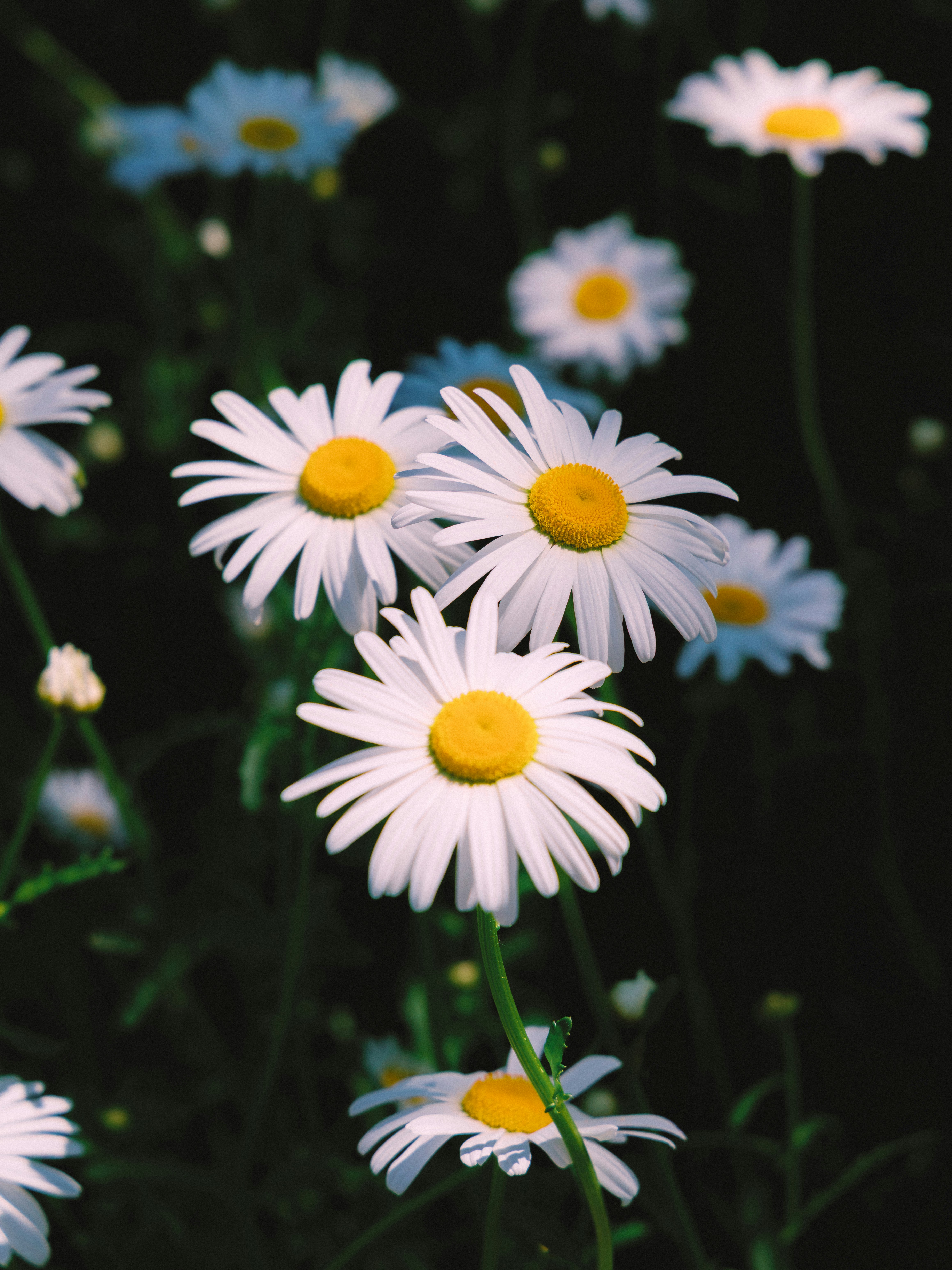 Photo by parkseongjin