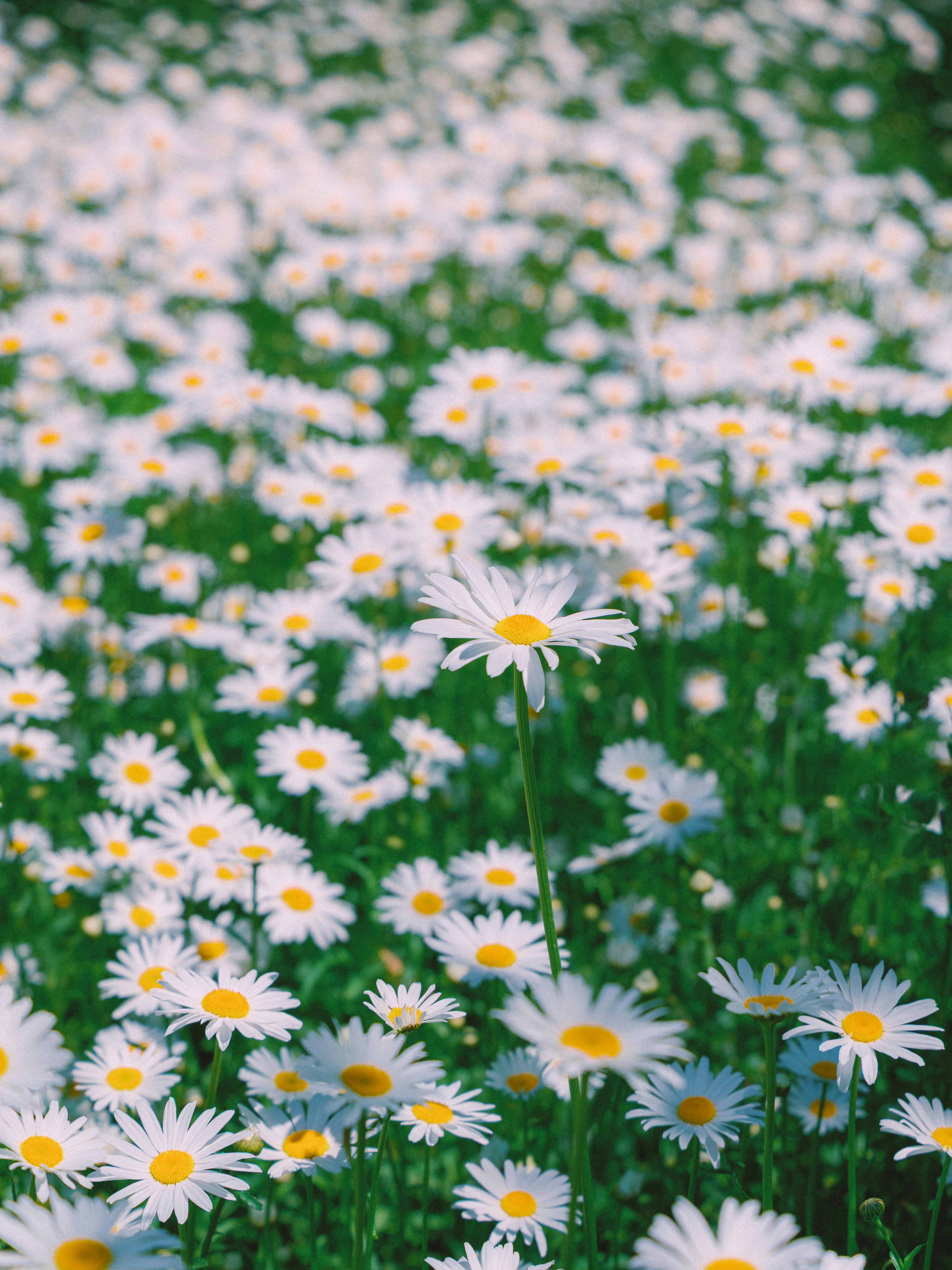 Photo by parkseongjin