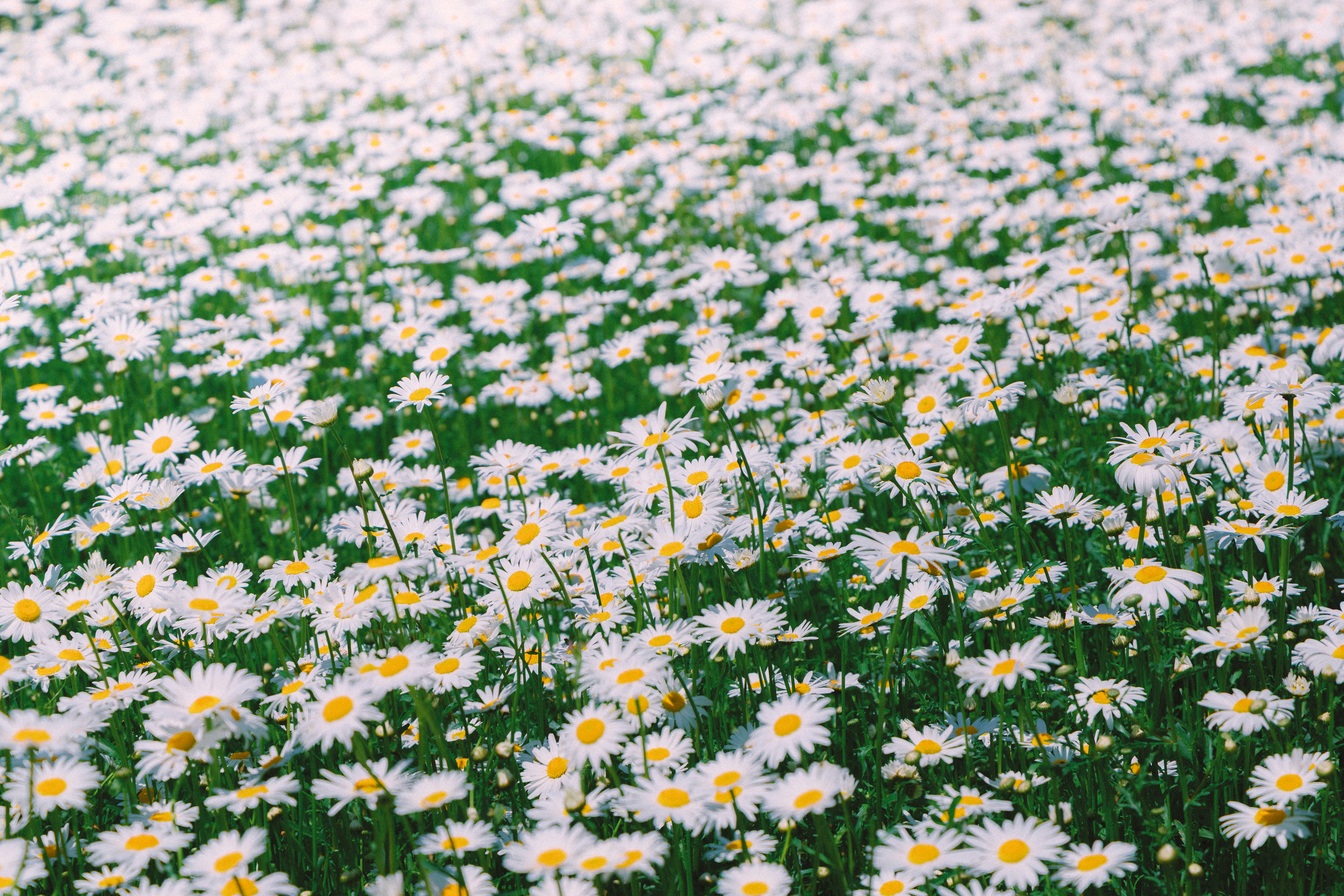 Photo by parkseongjin