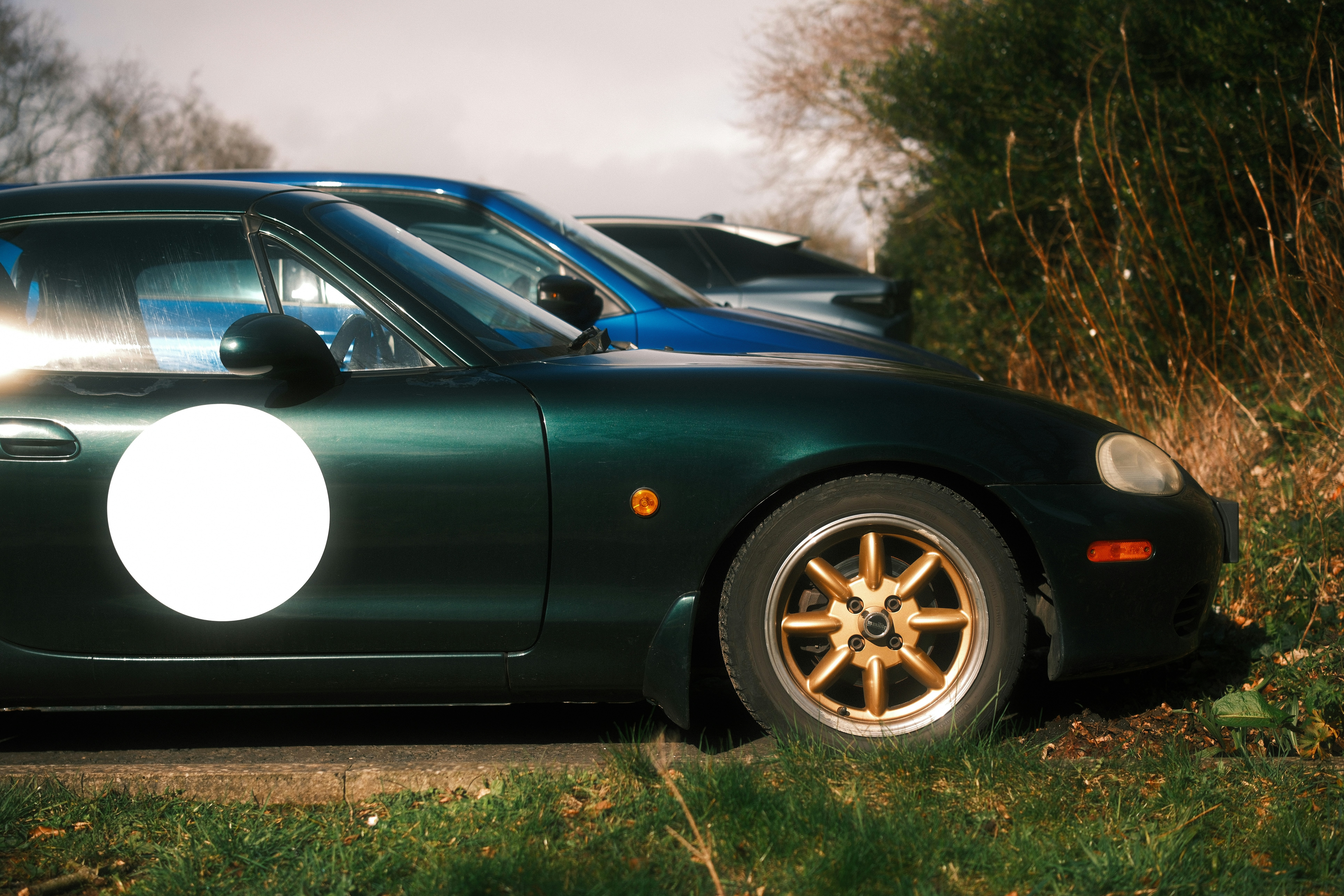 Dark green roadster with gold wheels parked on a grass verge beside a blue car, trees behind