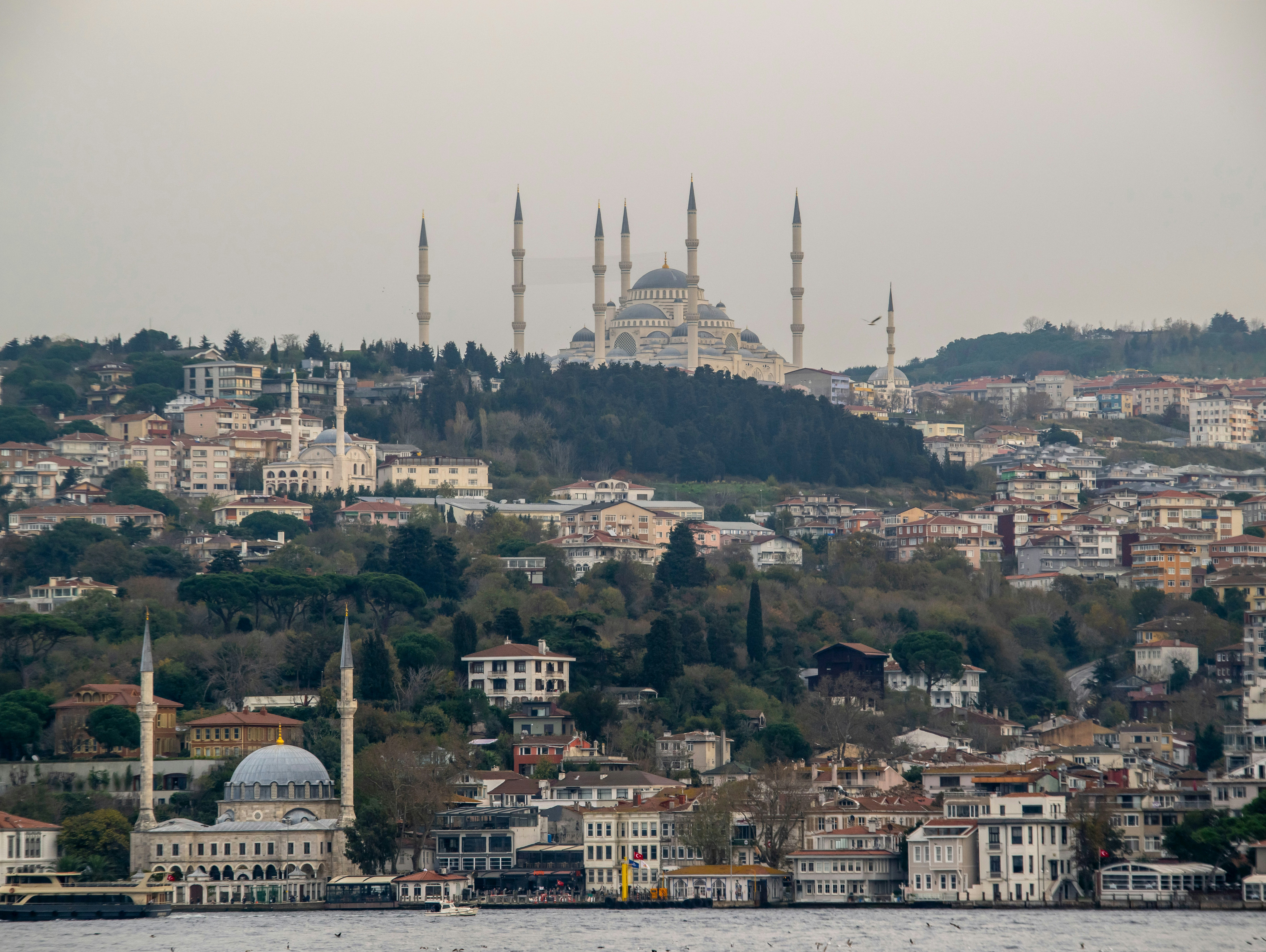 Photo by tarik_sami