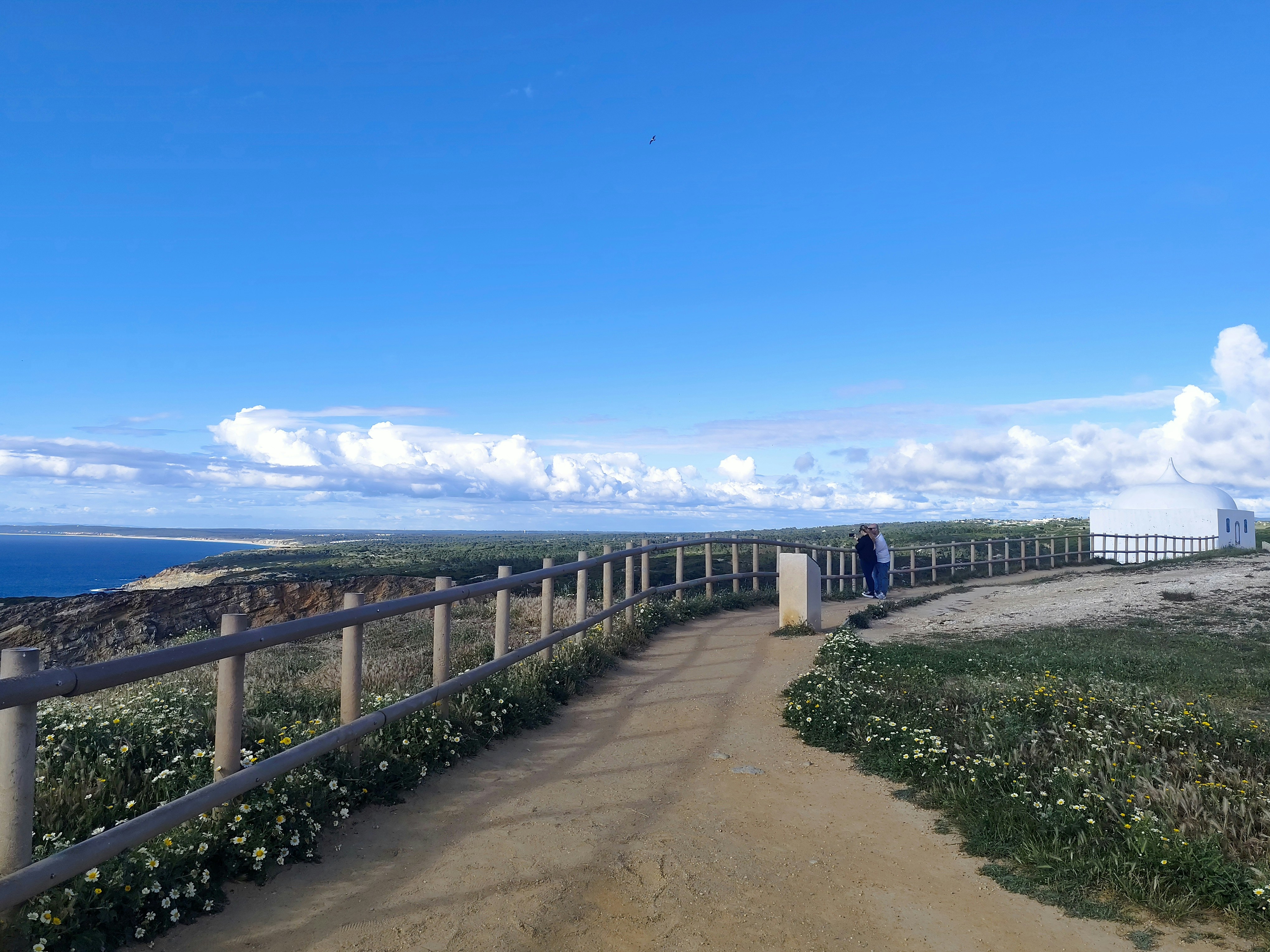 Coastal path with wooden railing and ocean view