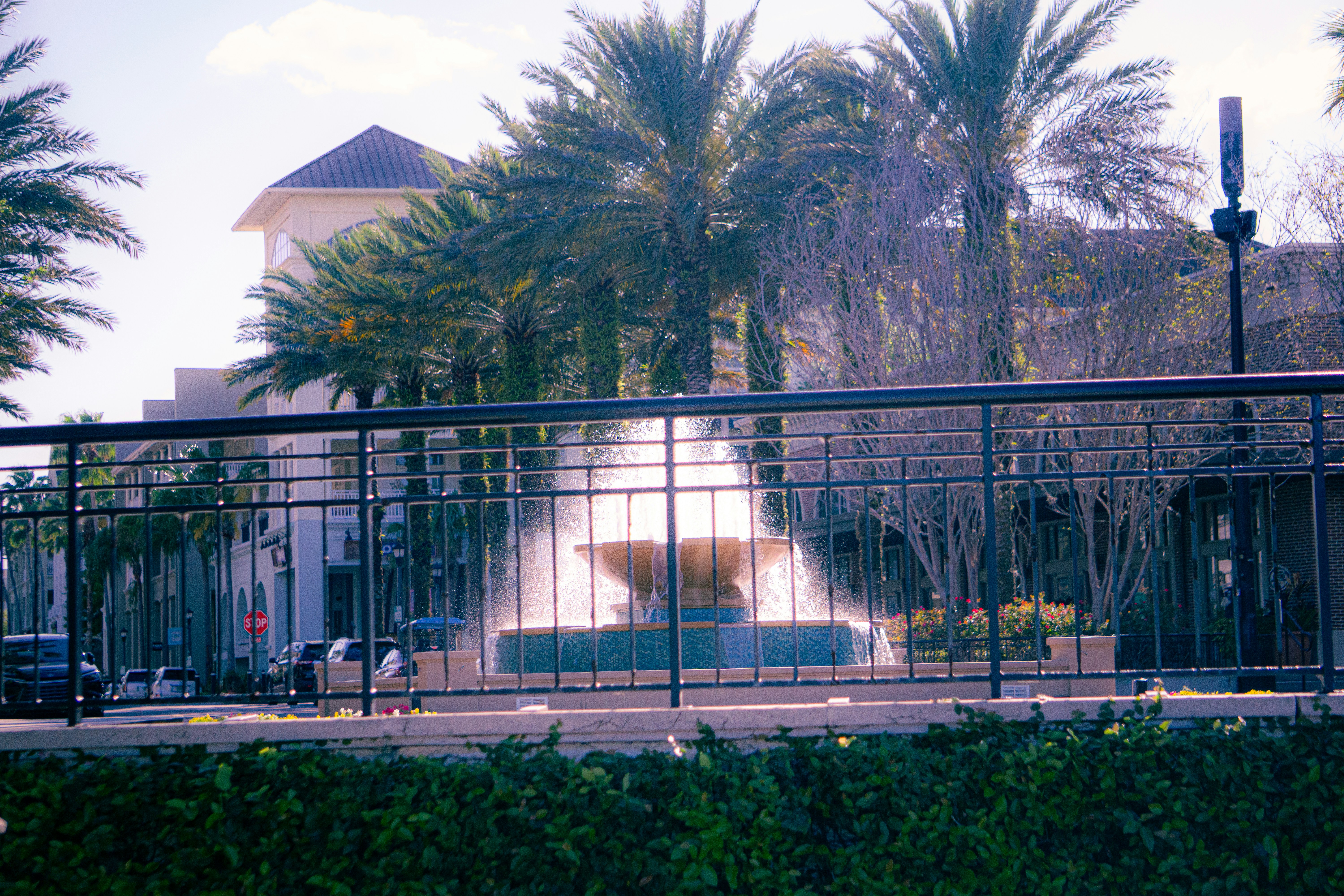 Brunnen, der mit Palmen Wasser spritzt, und Gebäude.