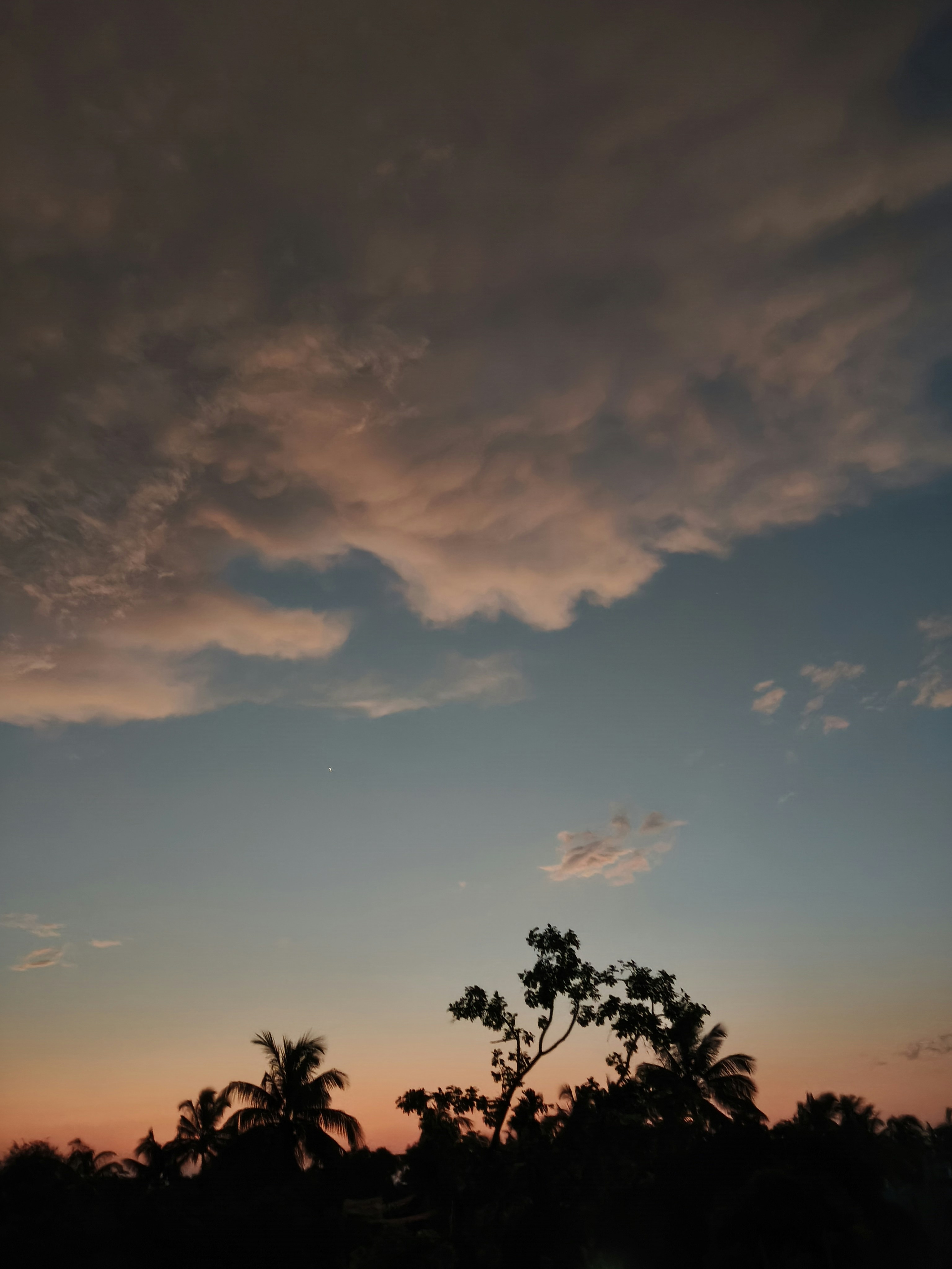Photo by zoxxy