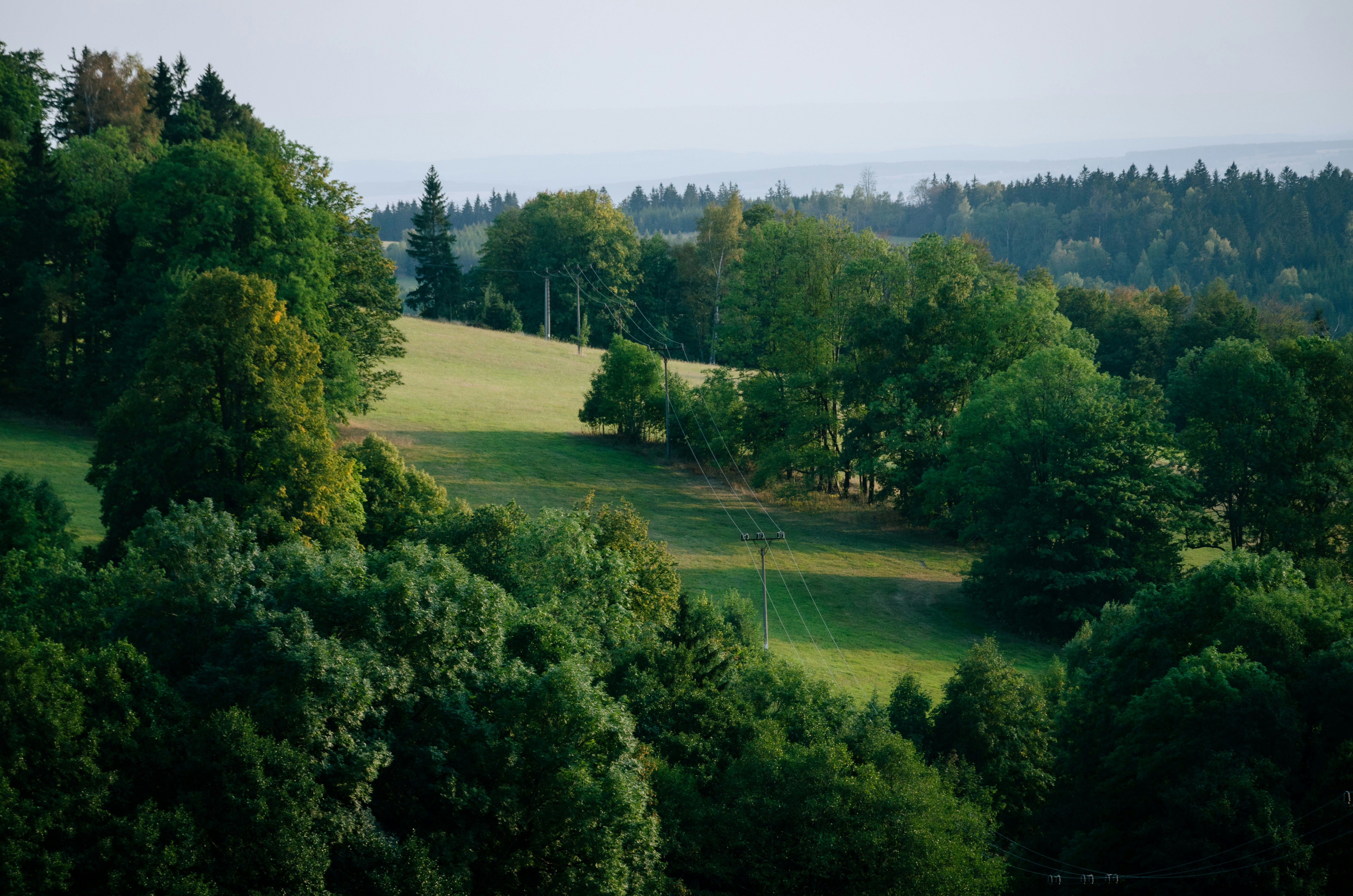 Üppig grüne Hügel mit verstreuten Bäumen und einem Feld.