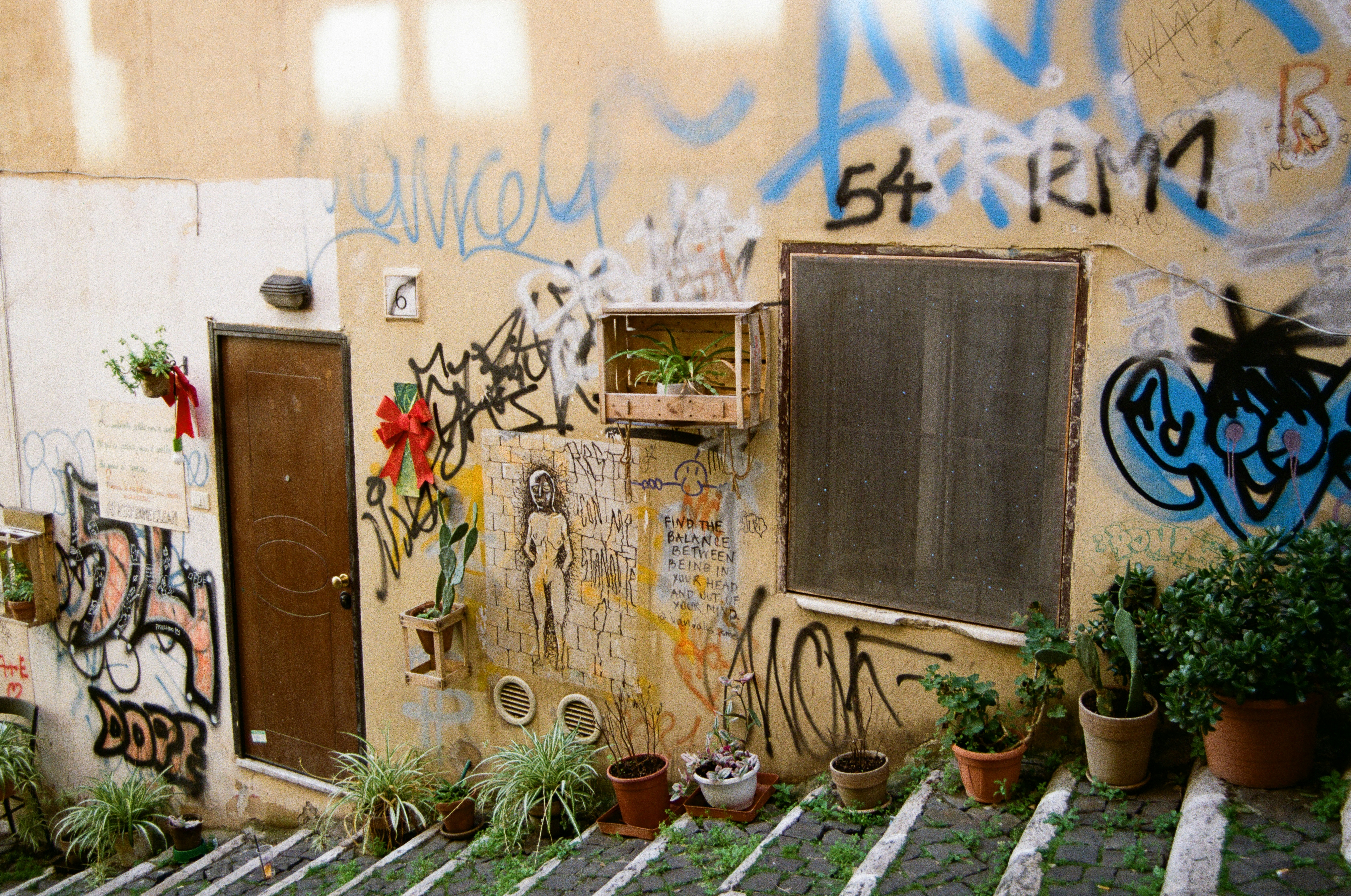 Graffiti-covered wall with plants and doors