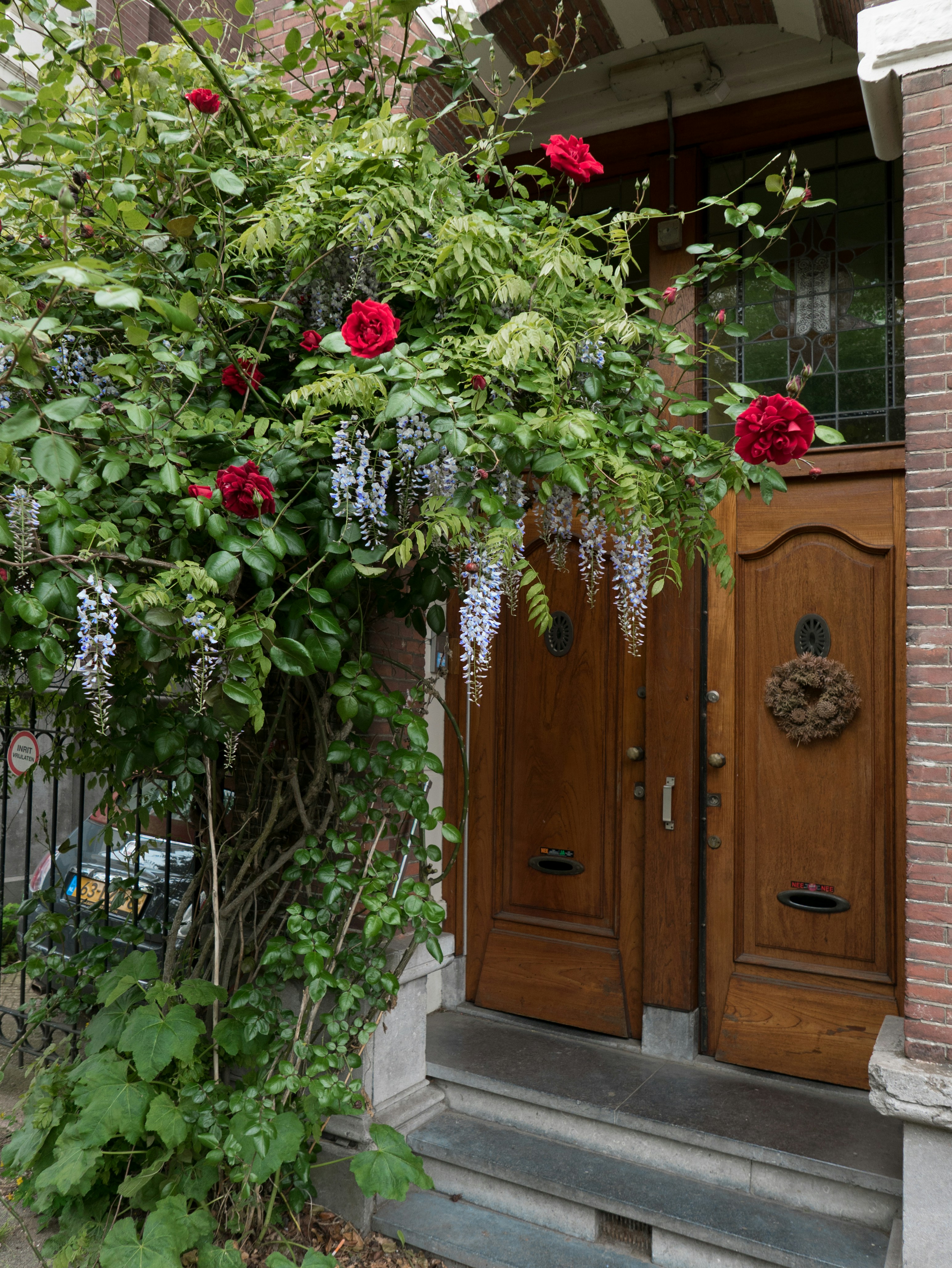 Portas de madeira com rosas e glicínias desabrochando