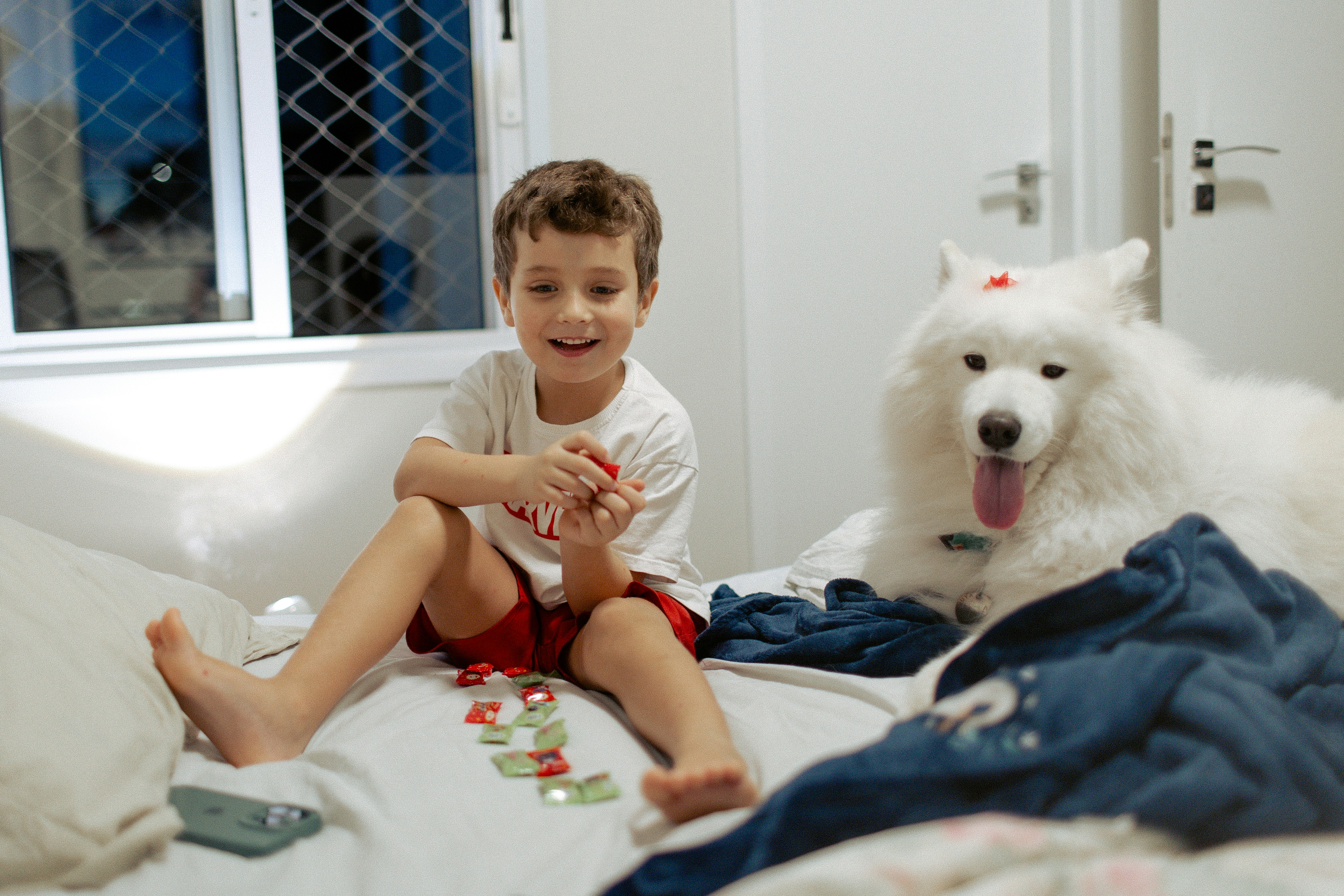 A young boy and a white dog on a bed