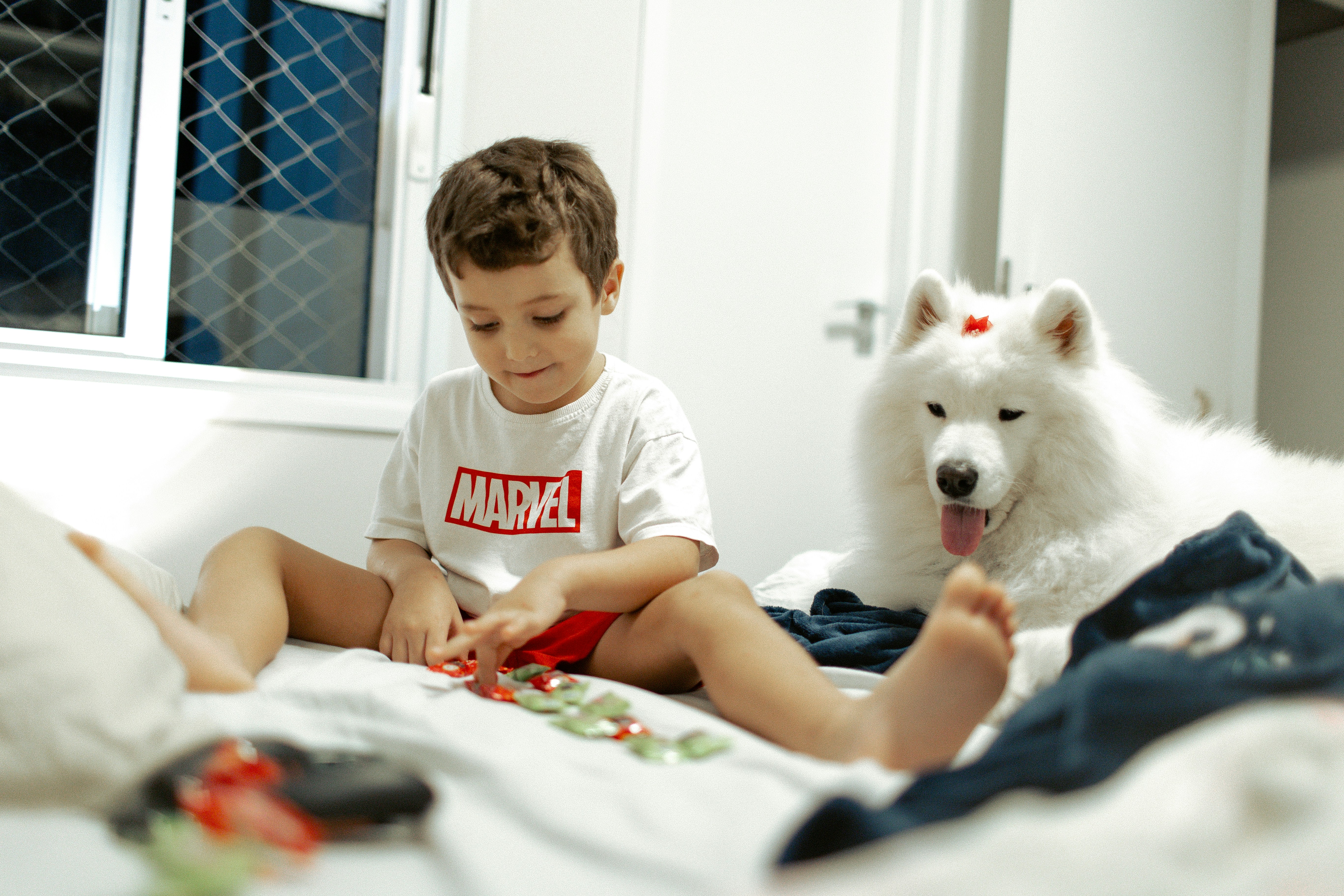 Modern pet-friendly living room with dog