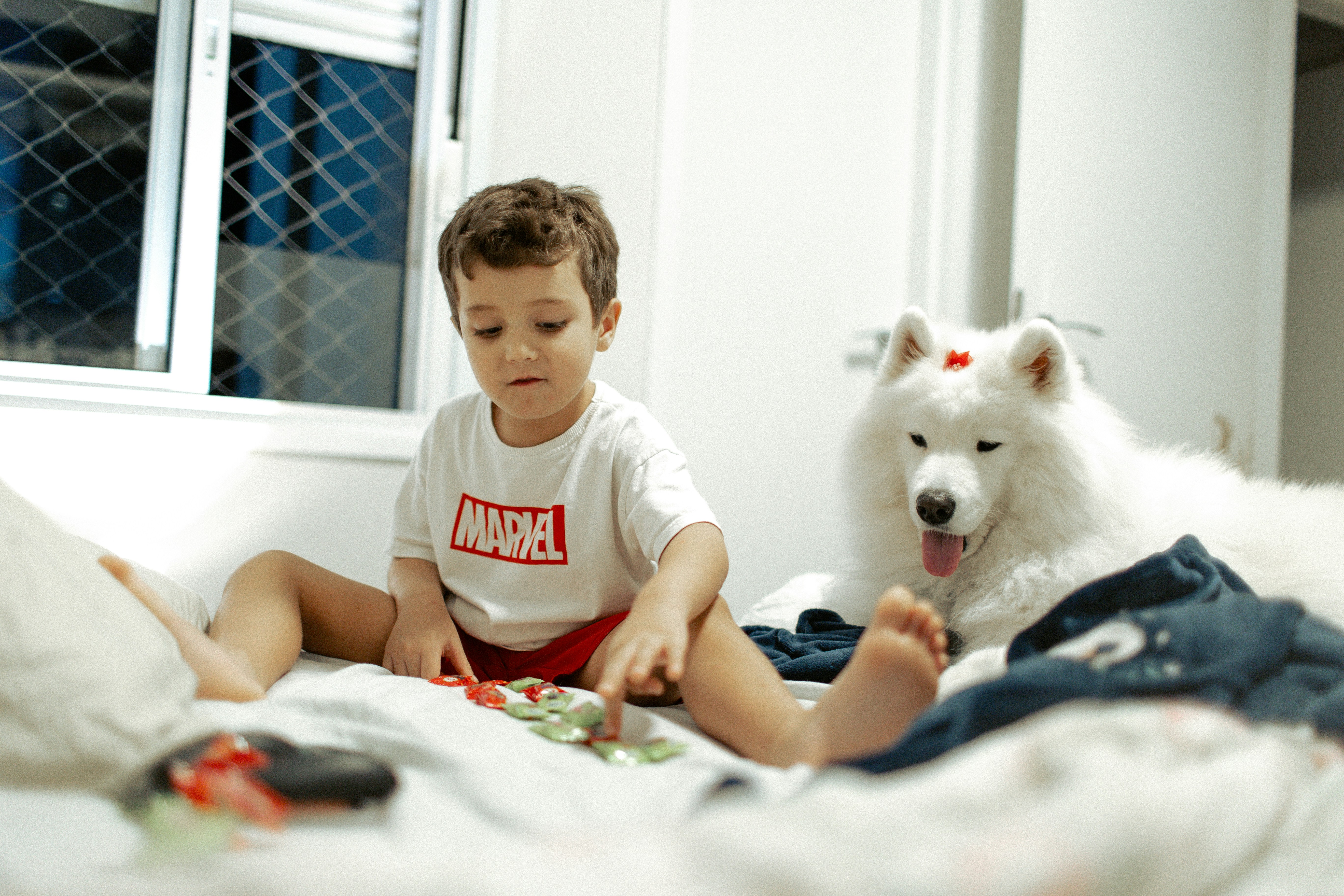 A young boy and a white dog on a bed