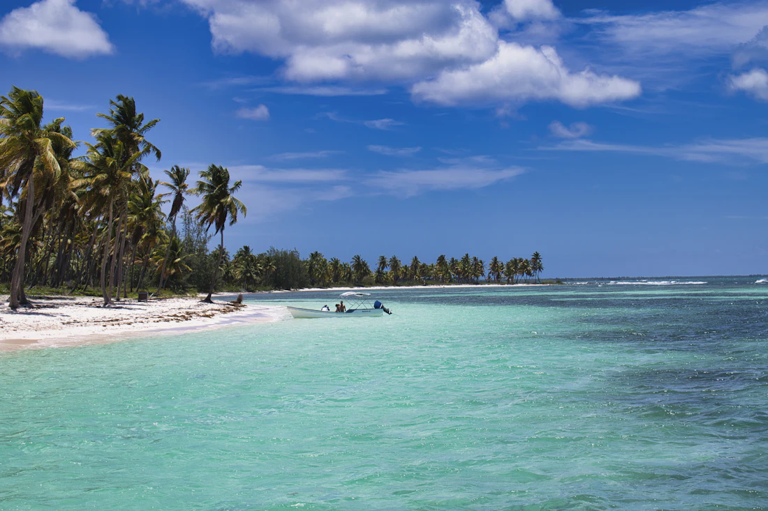 Clear turquoise water off a palm-fringed island beach