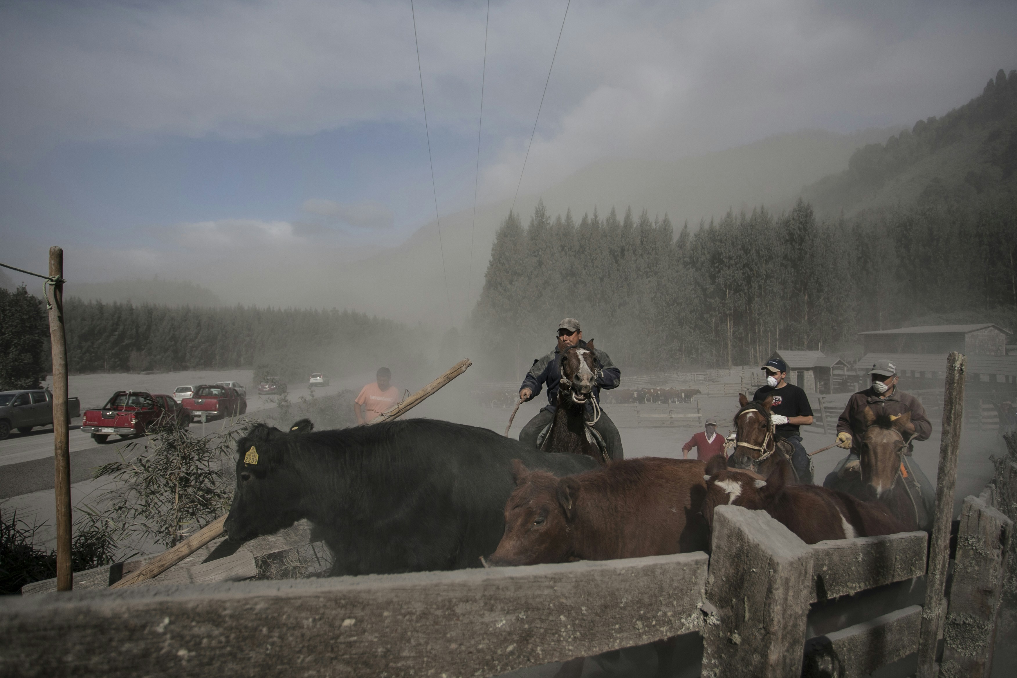 Cowboys on horseback herd cattle through a dusty, ash-filled landscape