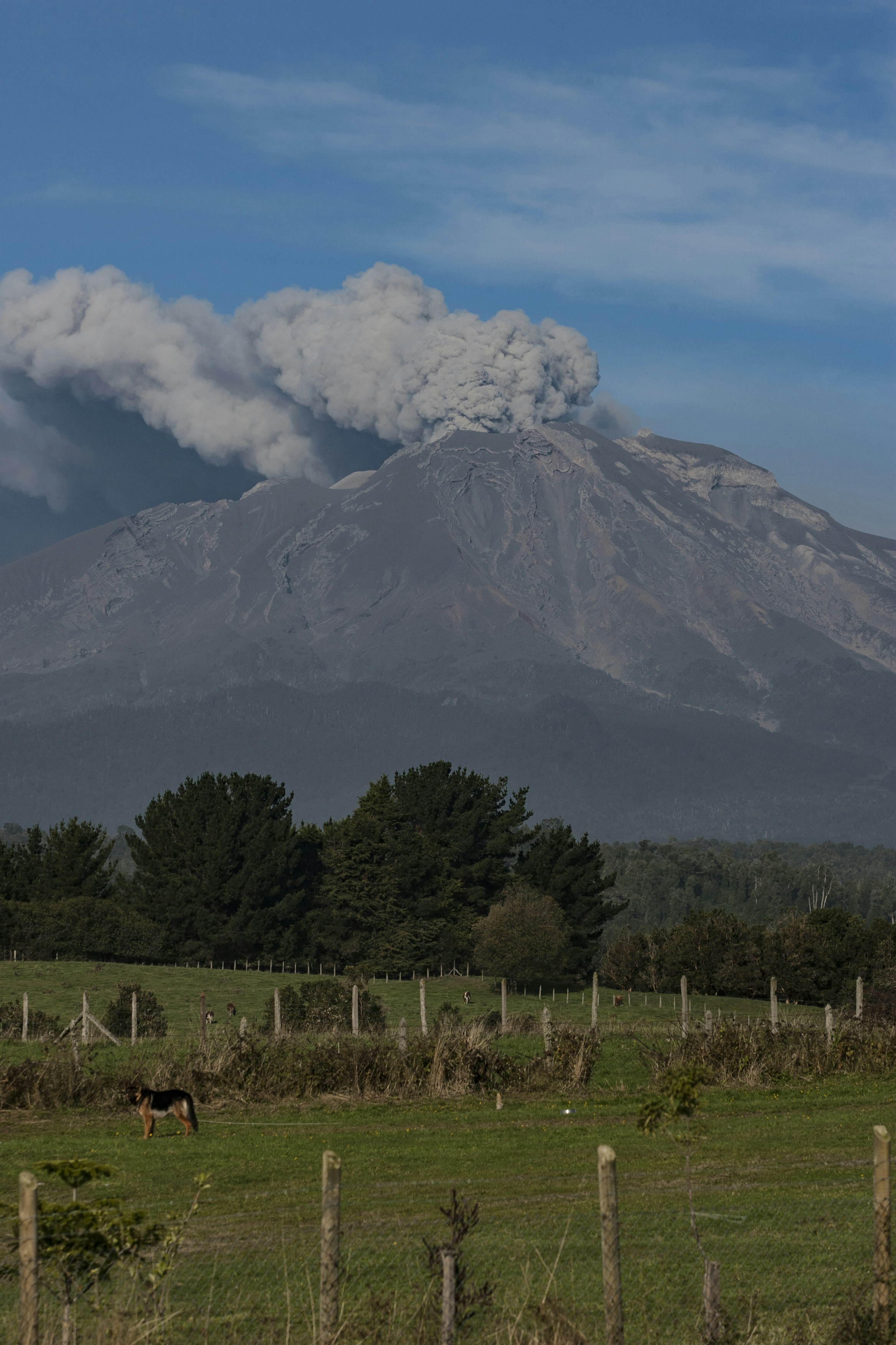 Smoking volcano above a field with trees and a dog