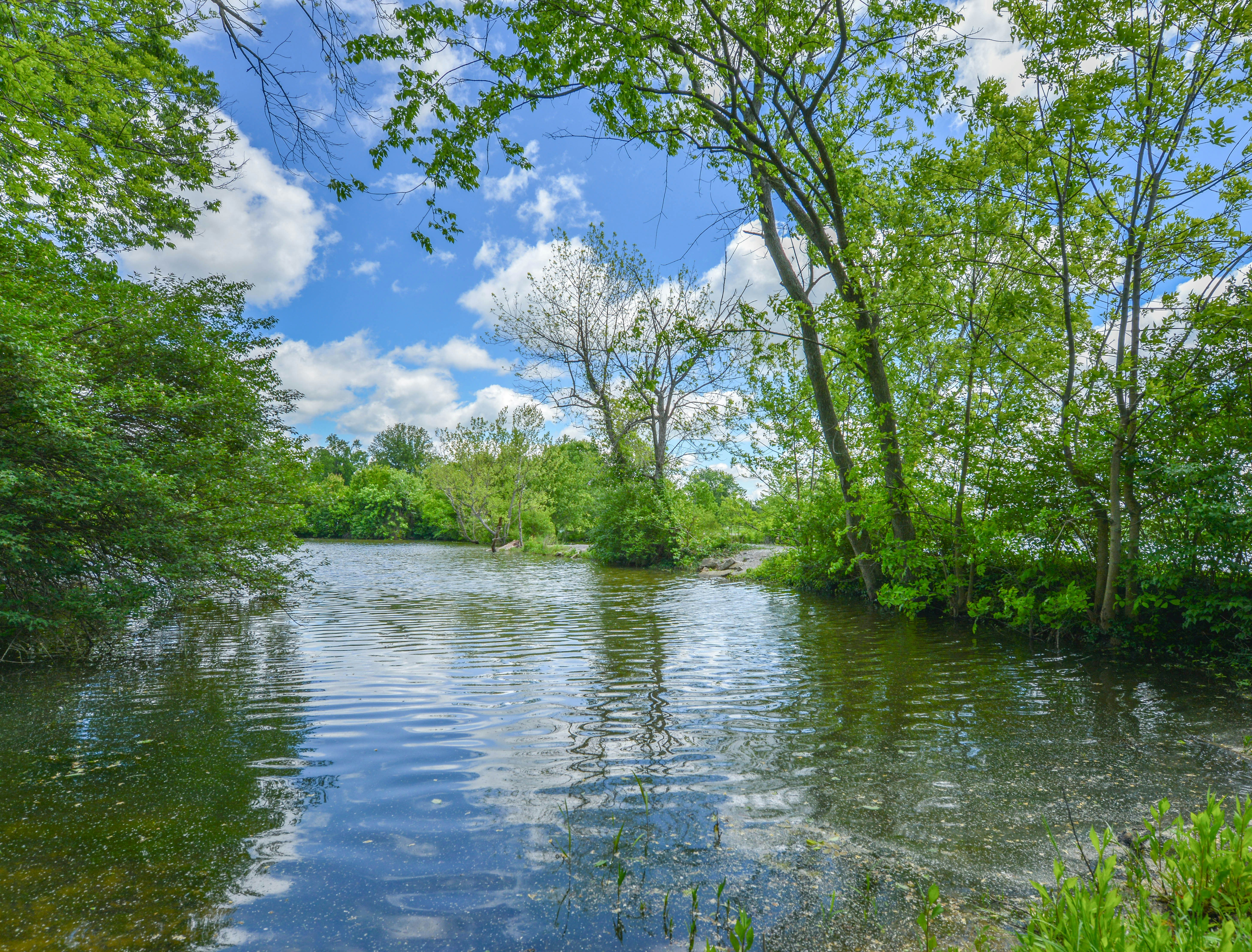Green trees frame a peaceful lake under a blue sky.