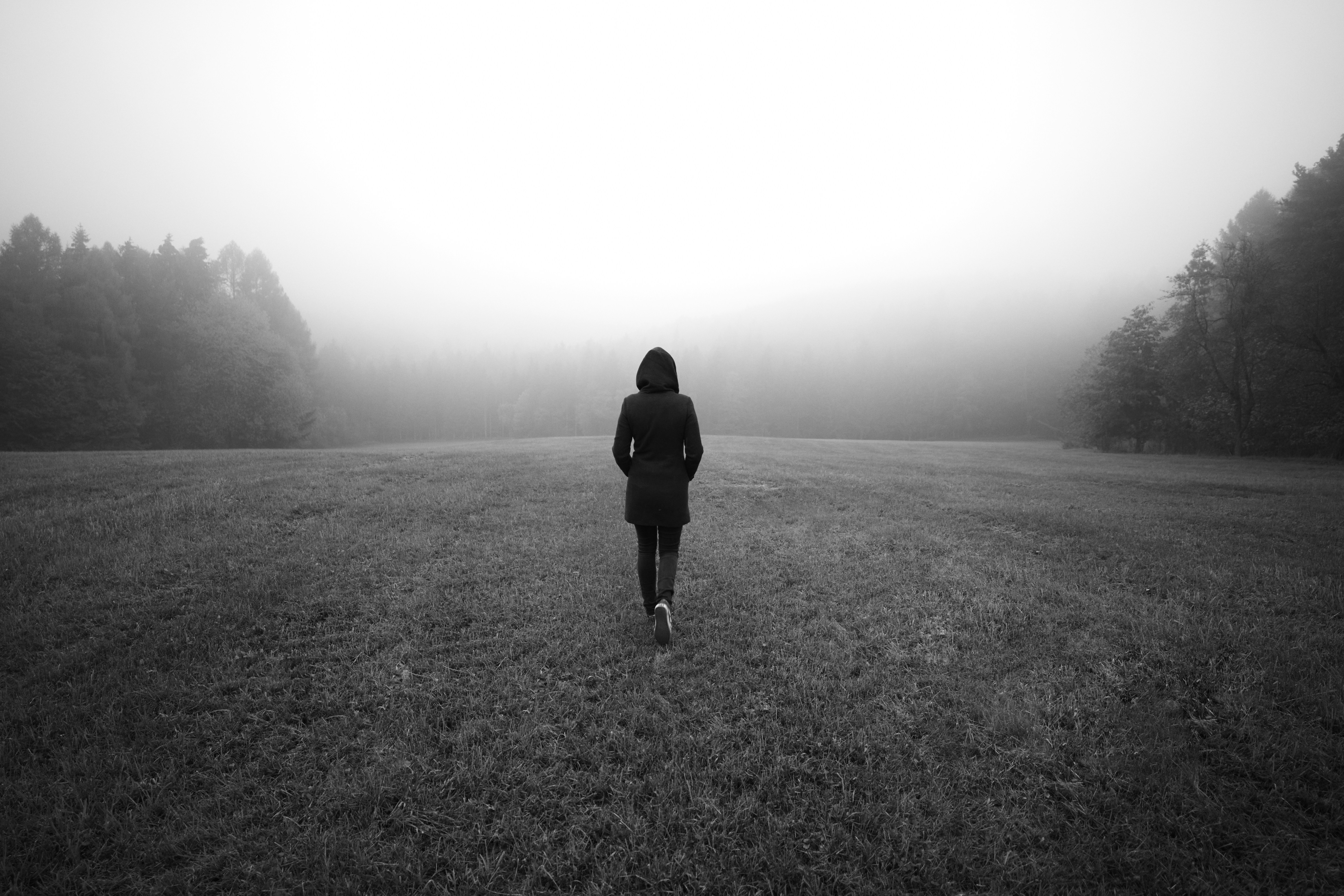 Photo by lukaskaufmann