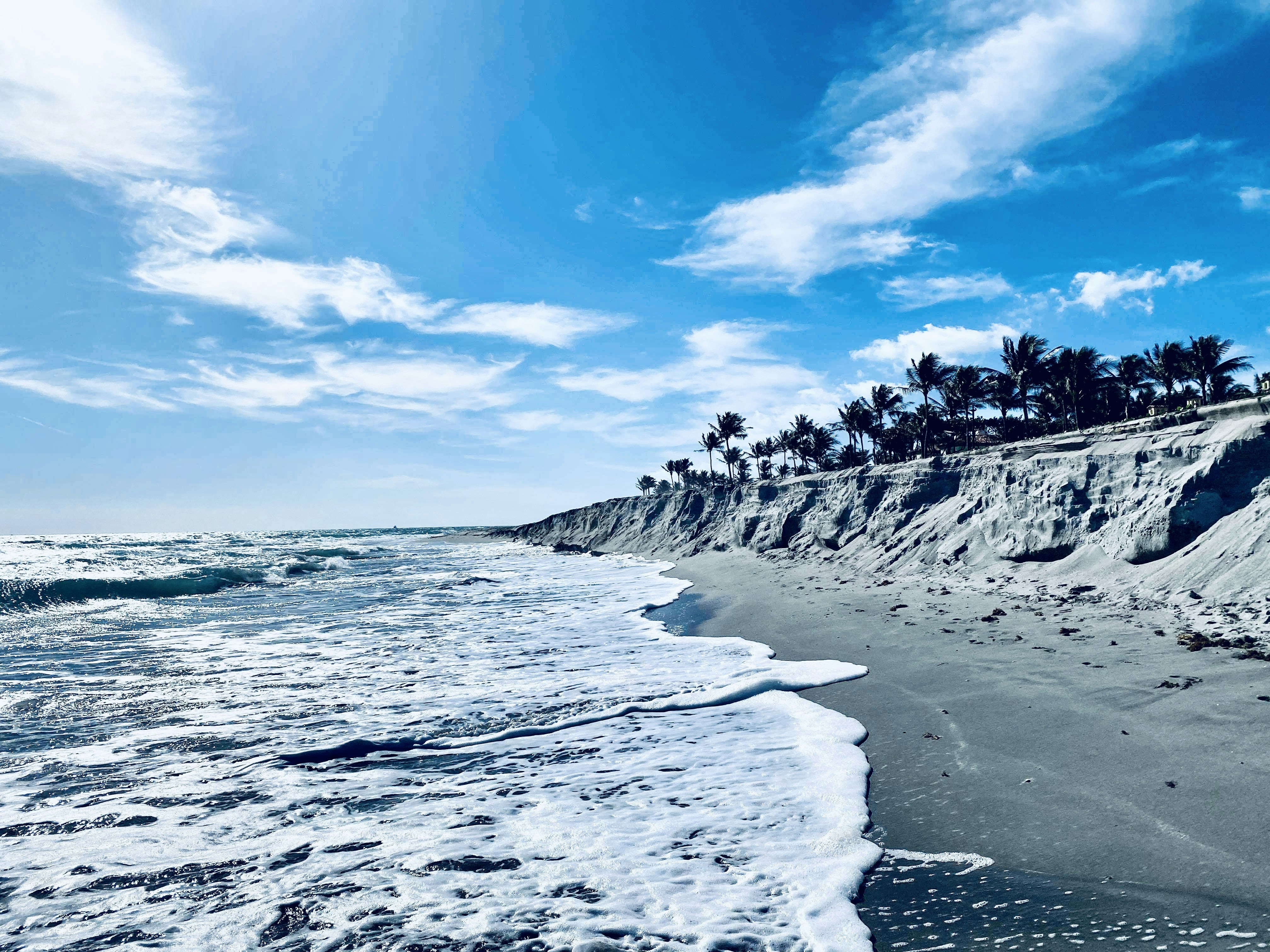 Waves crash on a sandy beach with palm trees.