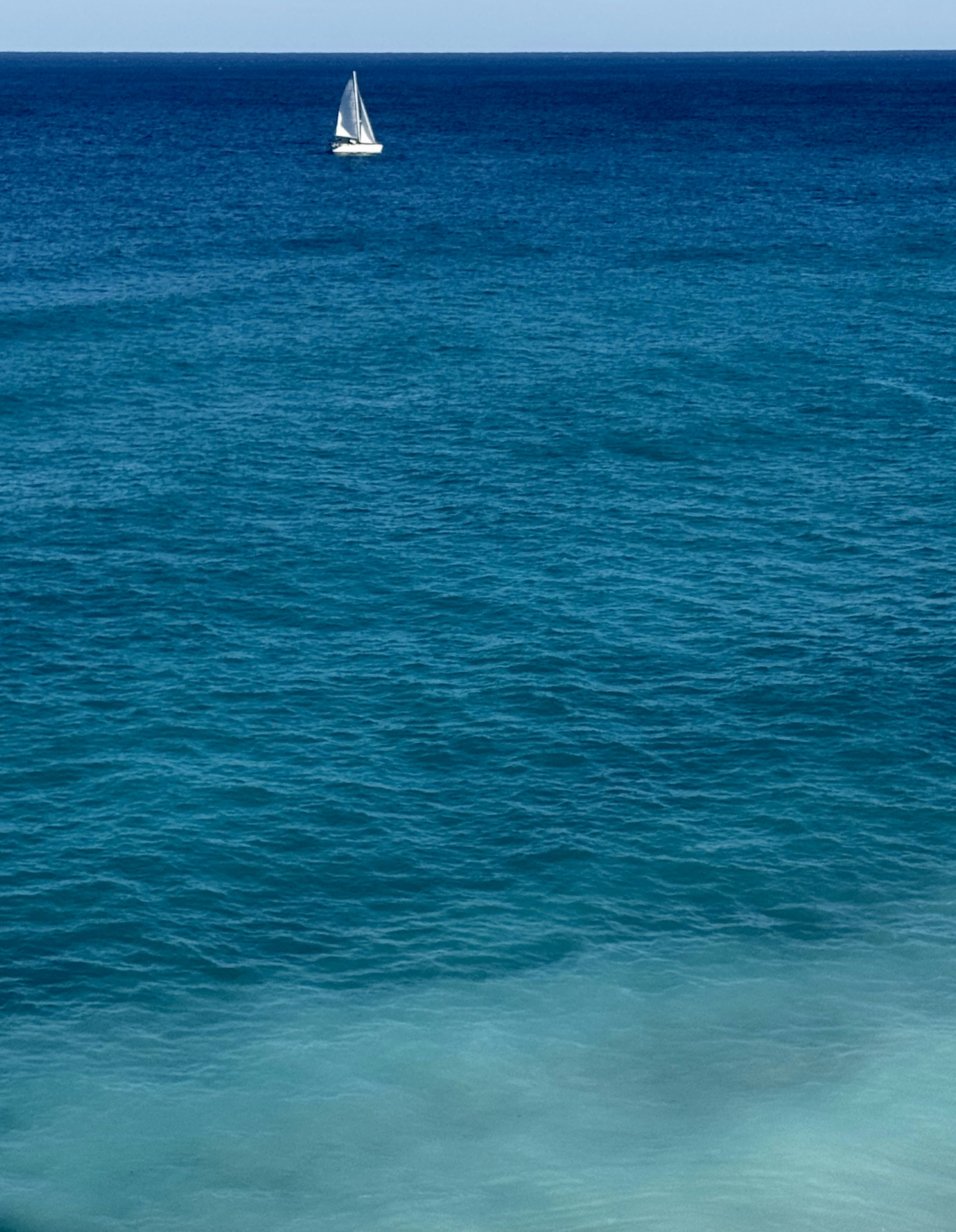 Photo by rpconcierge